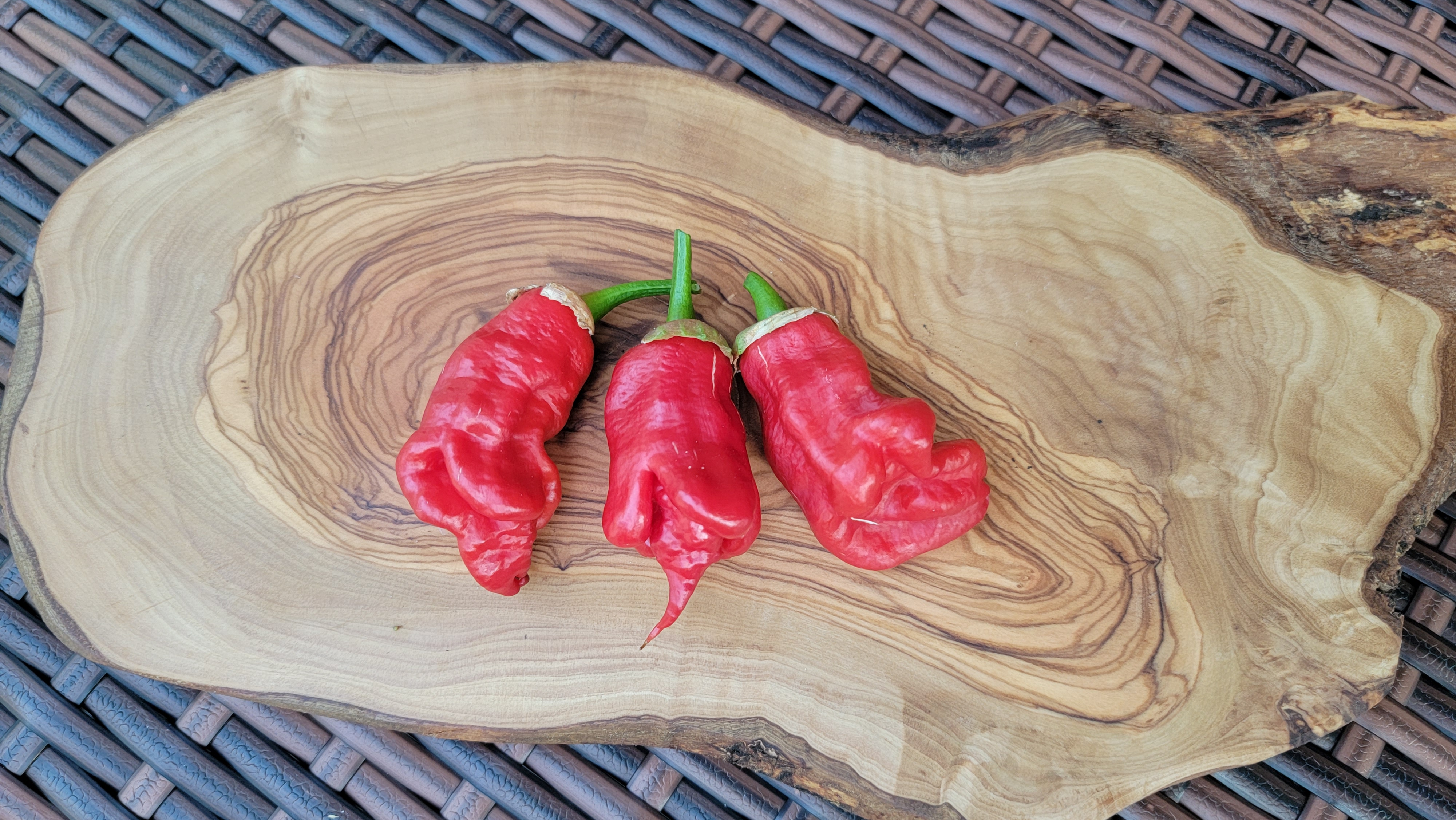 Adrenalina Red Pepper Seeds