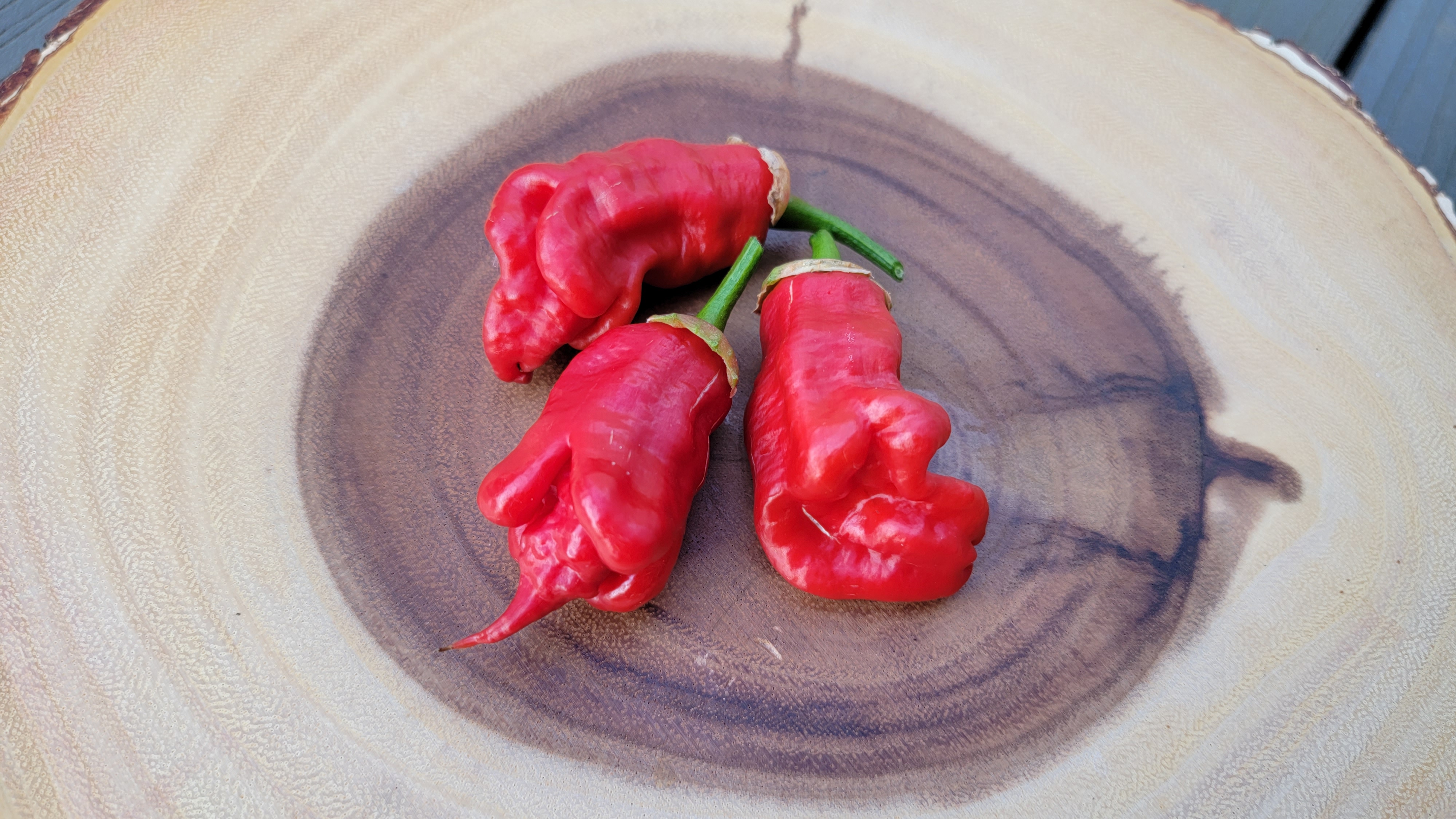 Adrenalina Red Pepper Seeds