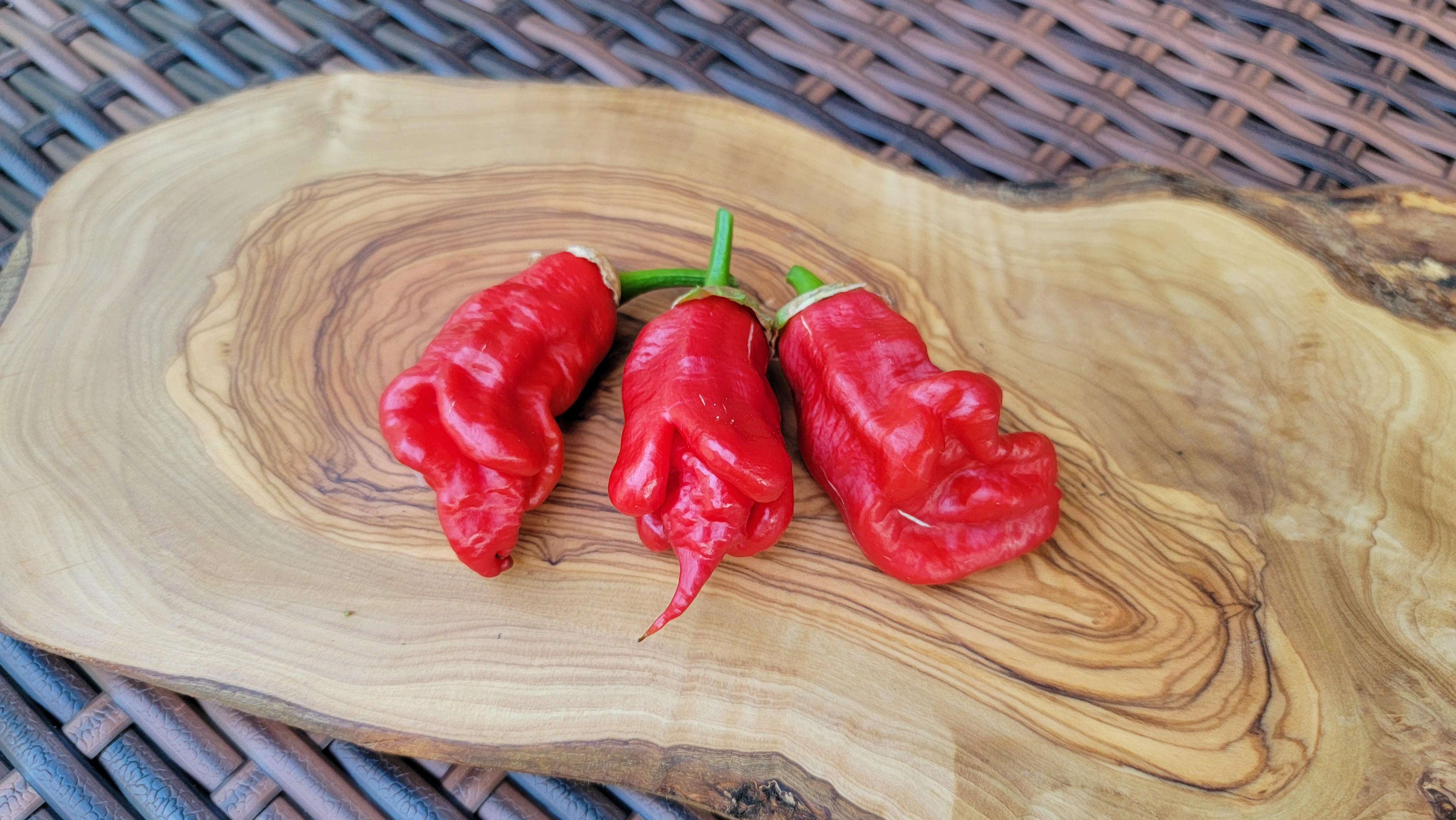 Adrenalina Red Pepper Seeds