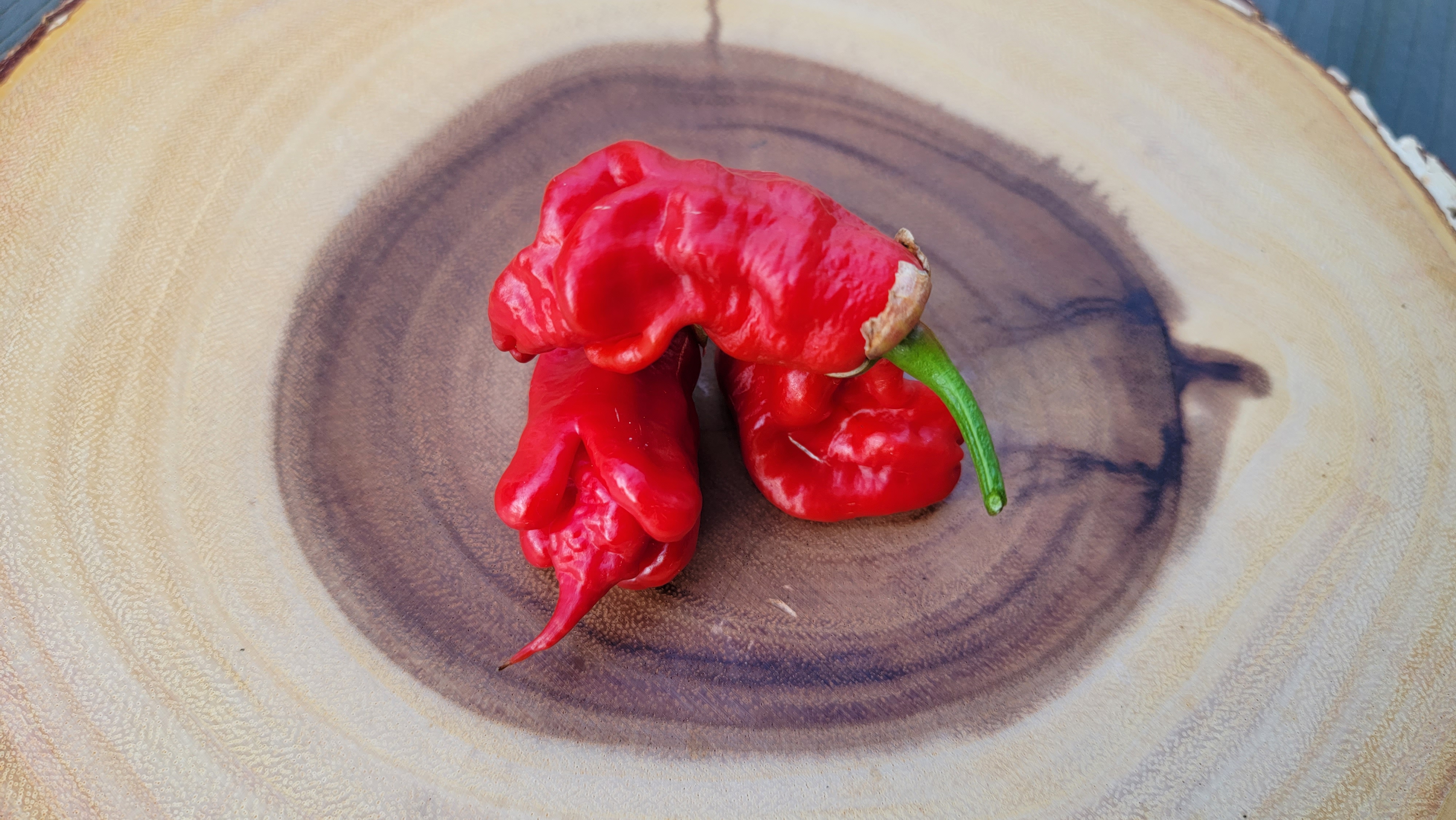 Adrenalina Red Pepper Seeds