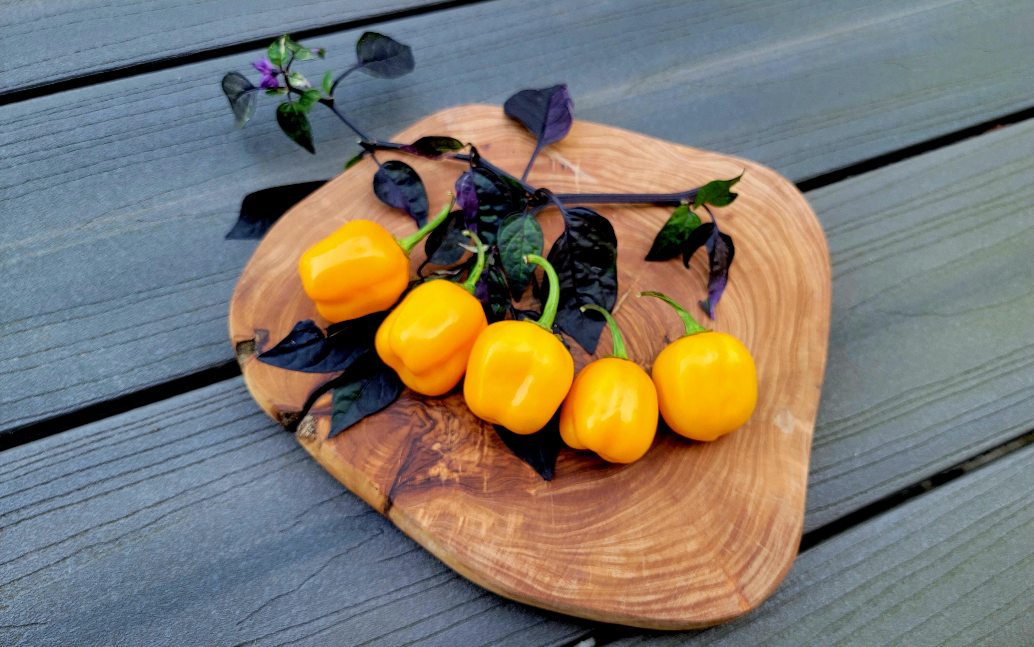 Aji Jobito Pepper Seeds