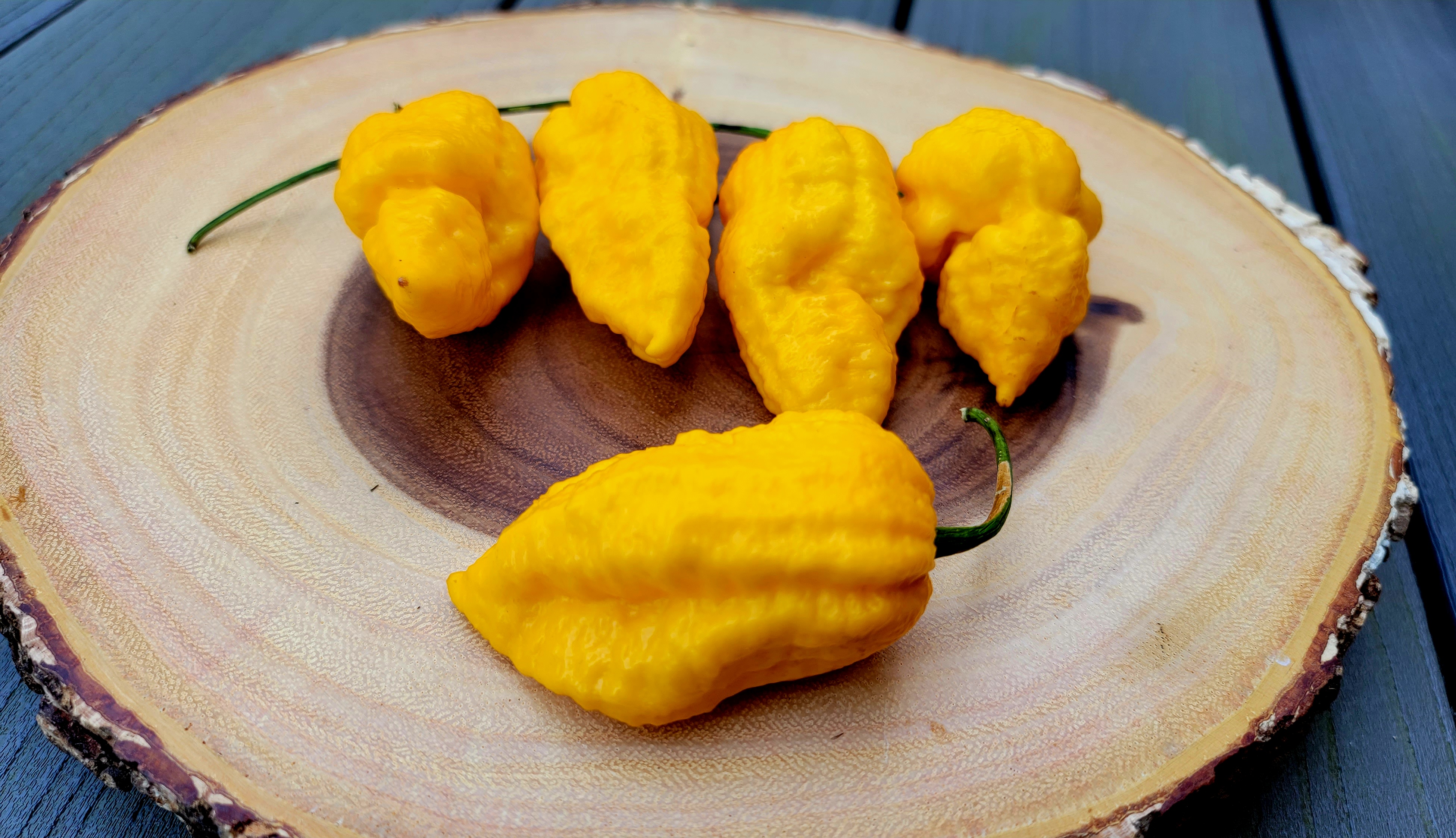 Big Mama Yellow Pepper Seeds
