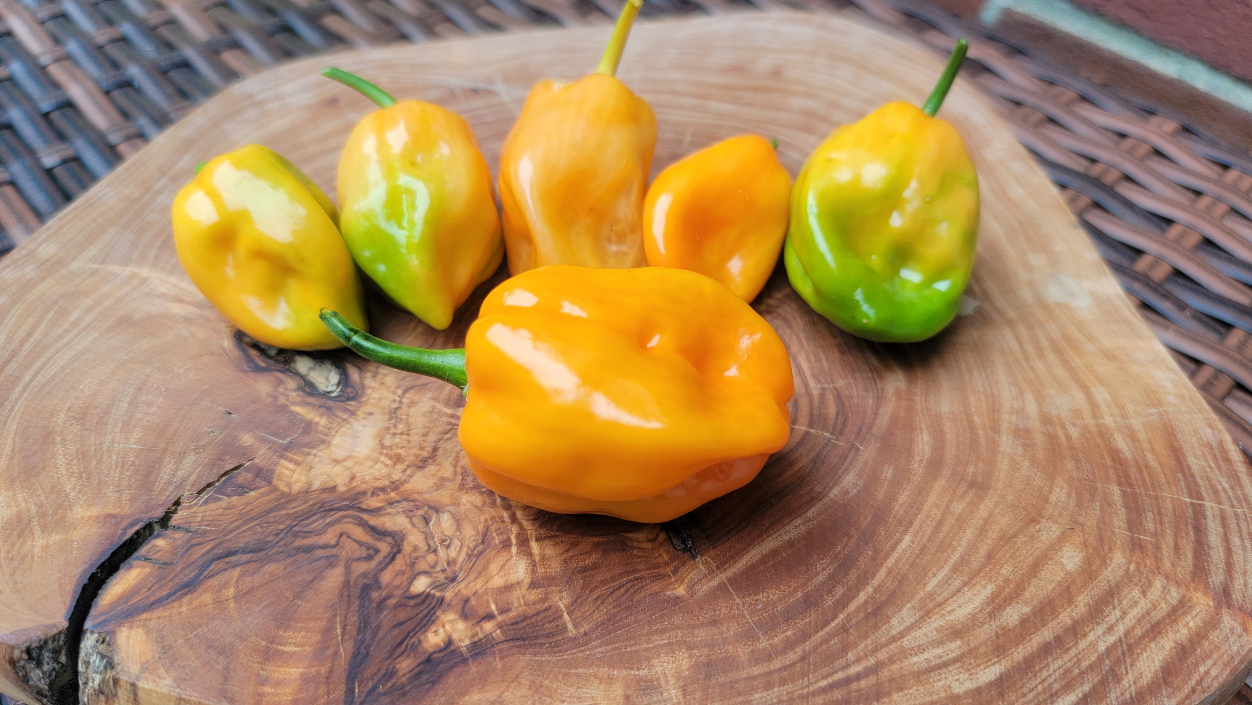 Habanero Orange Pepper Seeds