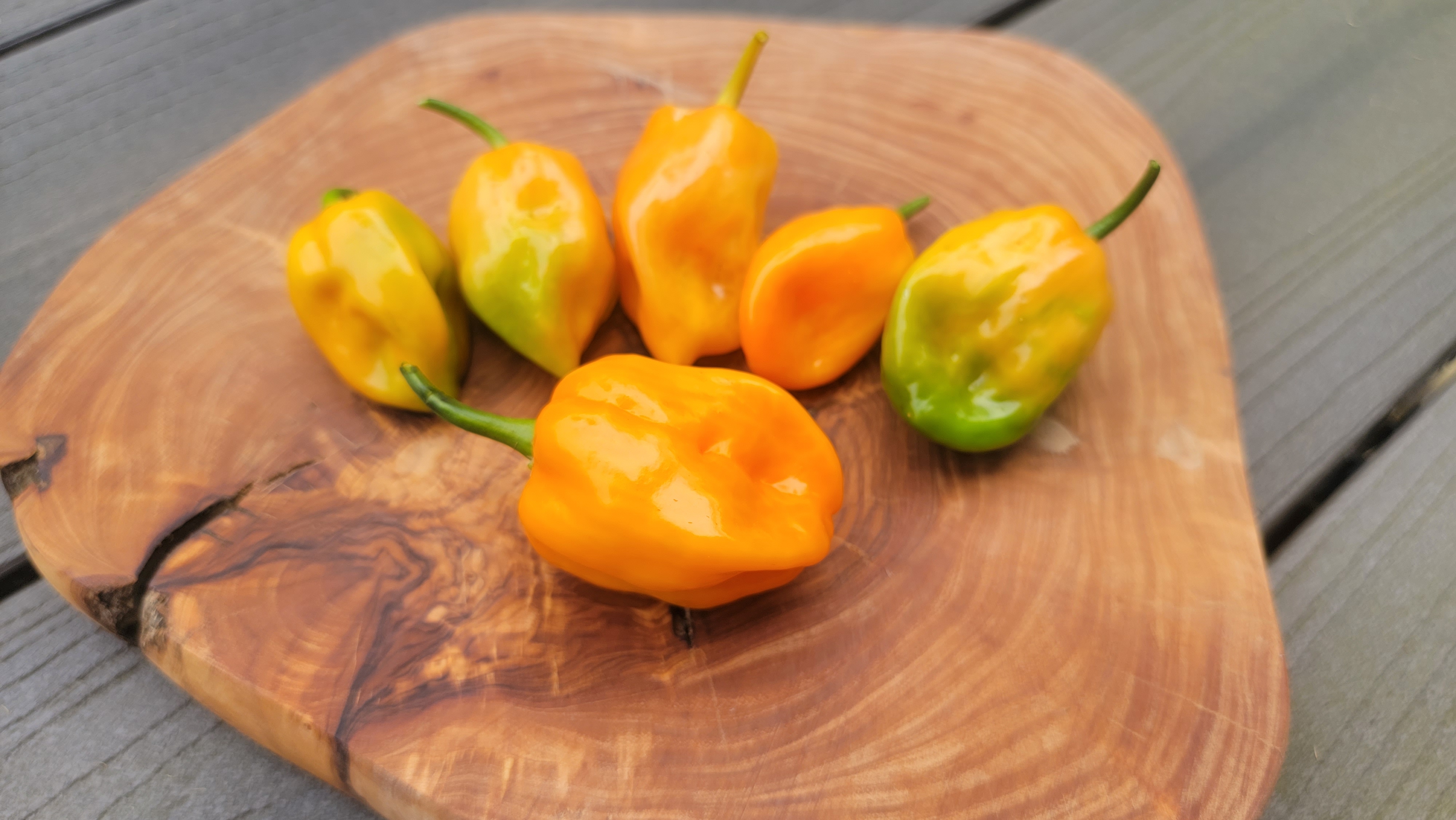 Habanero Orange Pepper Seeds