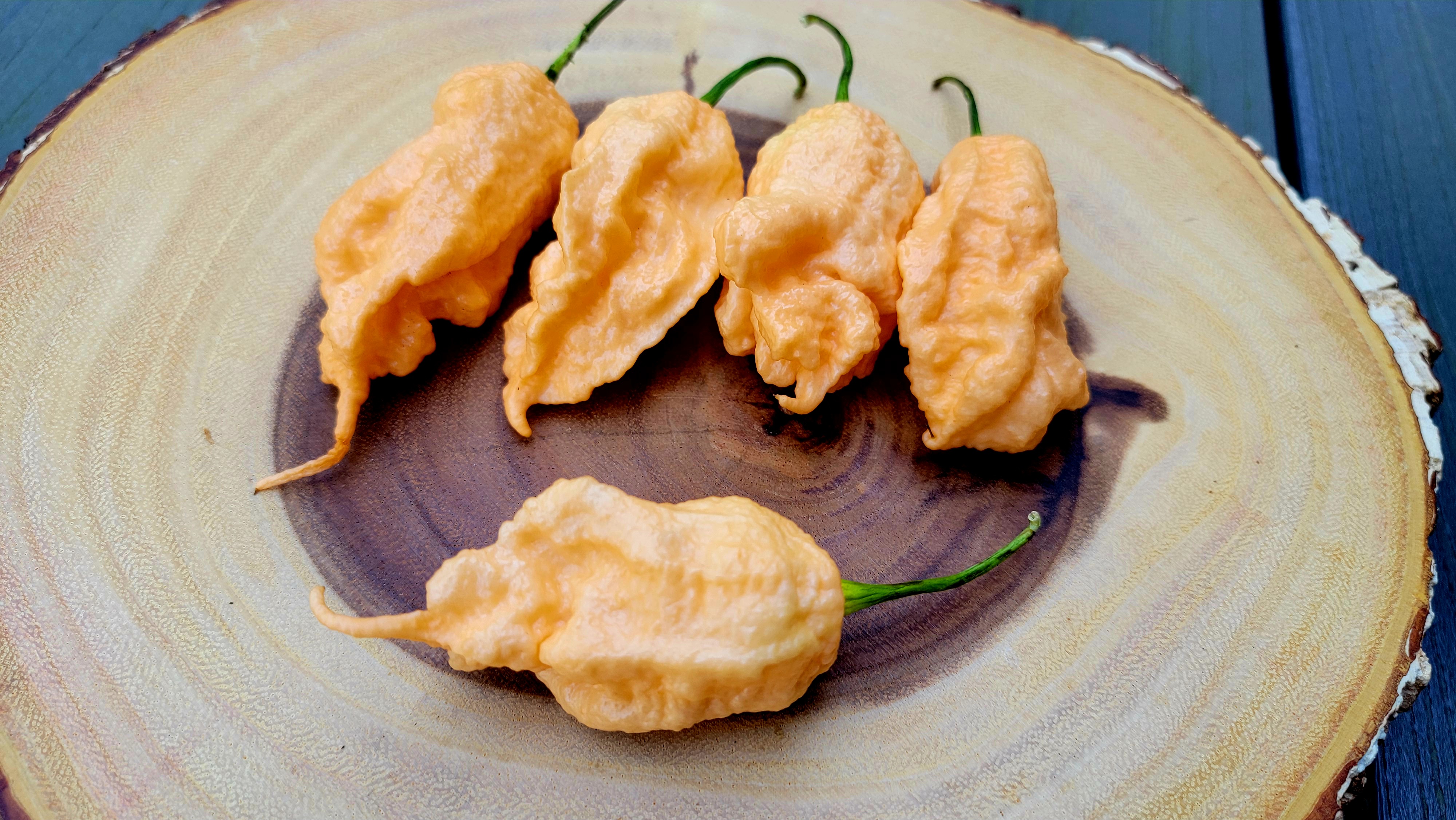 Jay's Peach Ghost Scorption JPGS Pepper Seeds