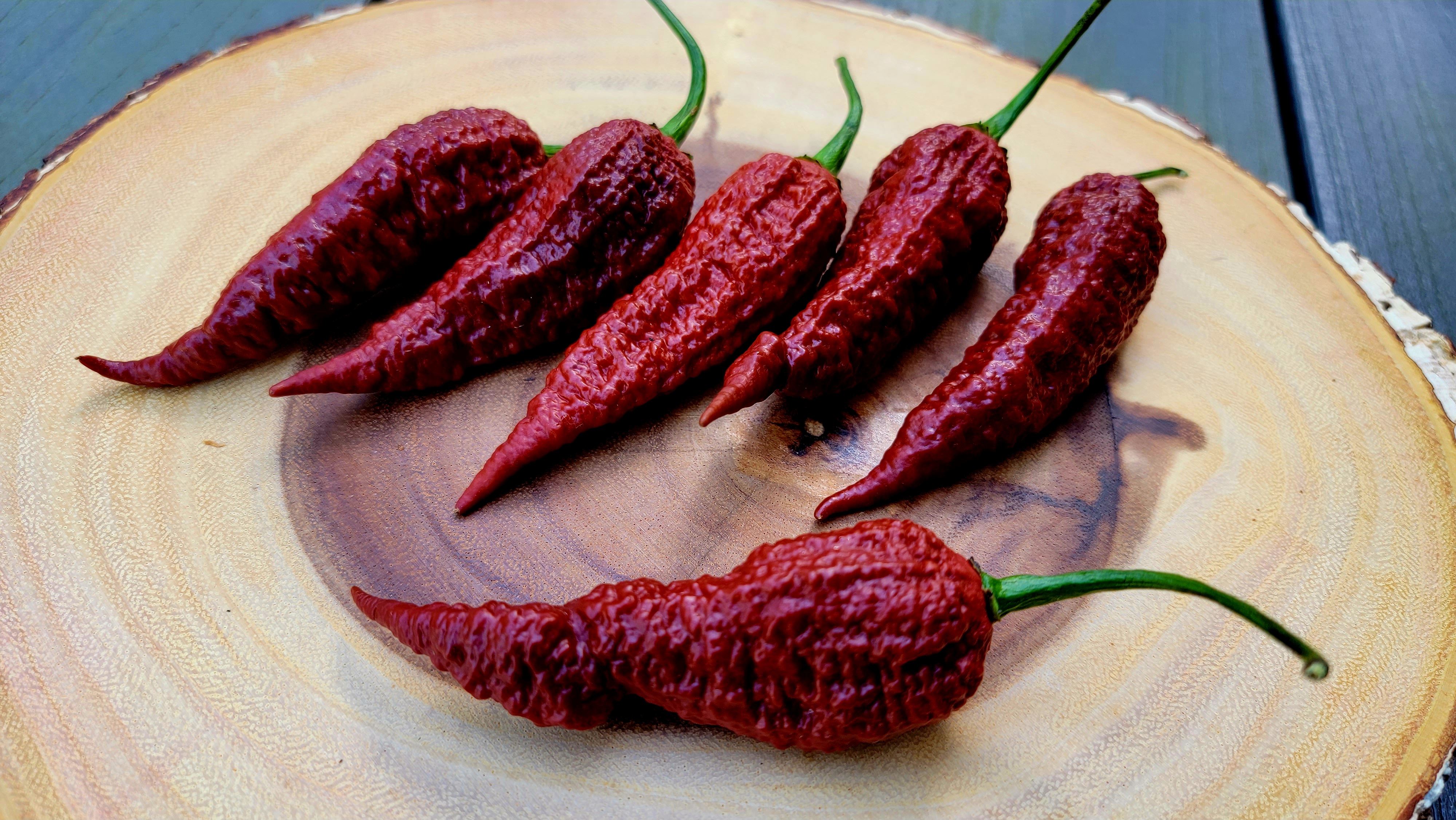 Leviathan Gnarly Scorpion Pepper Seeds