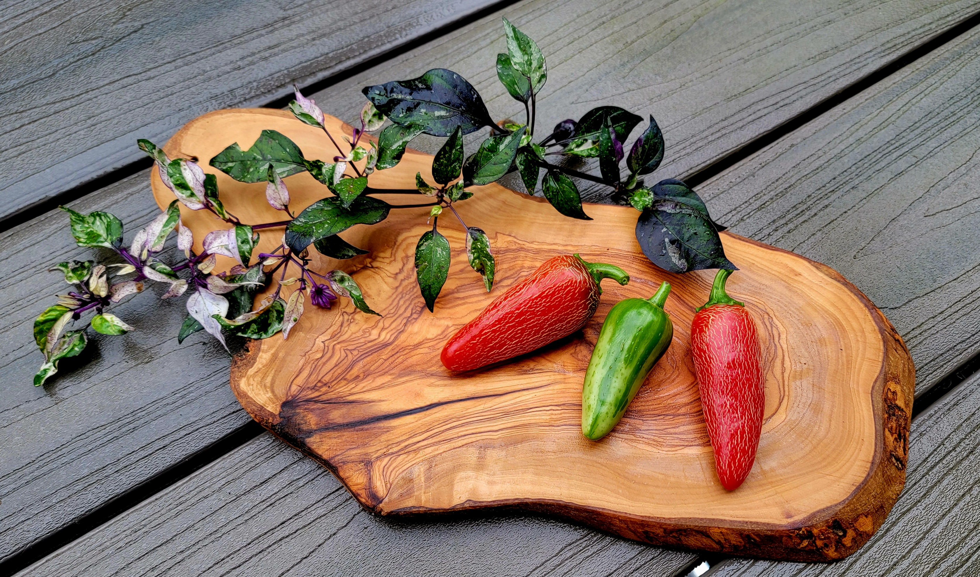 Mattapeno Pepper Seeds