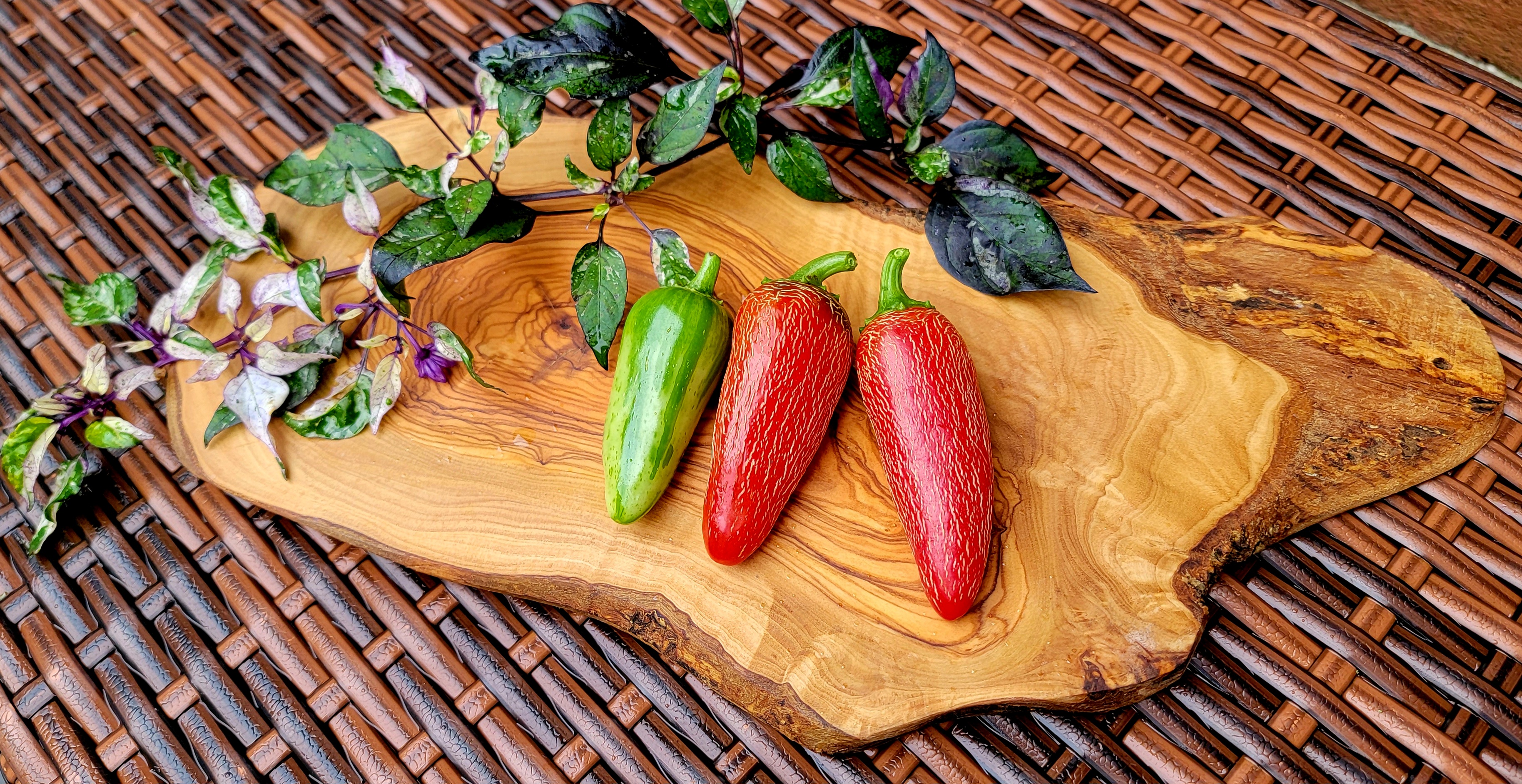 Mattapeno Pepper Seeds