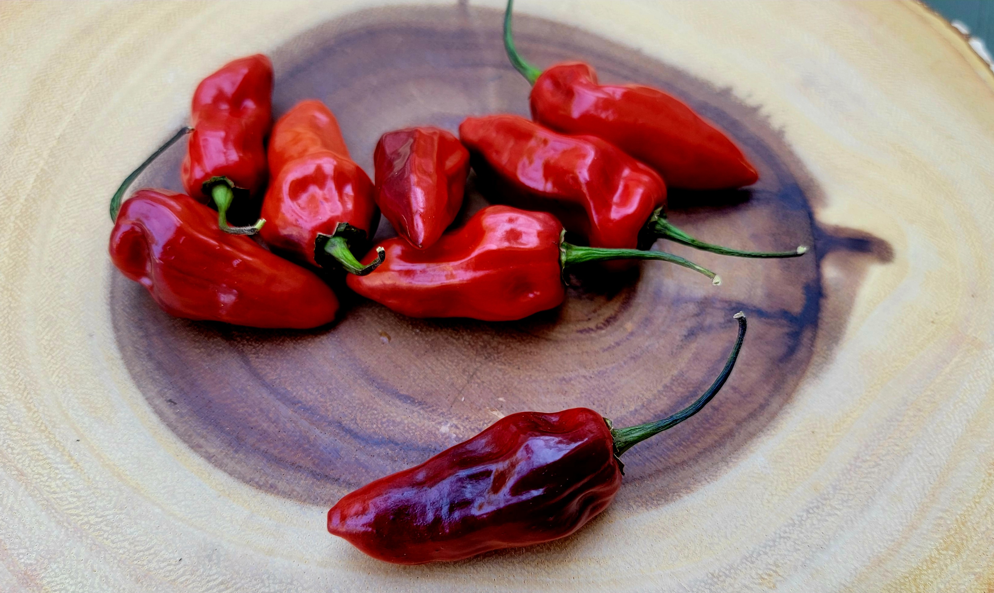 Naga Smooky Rainbow Pepper Seeds