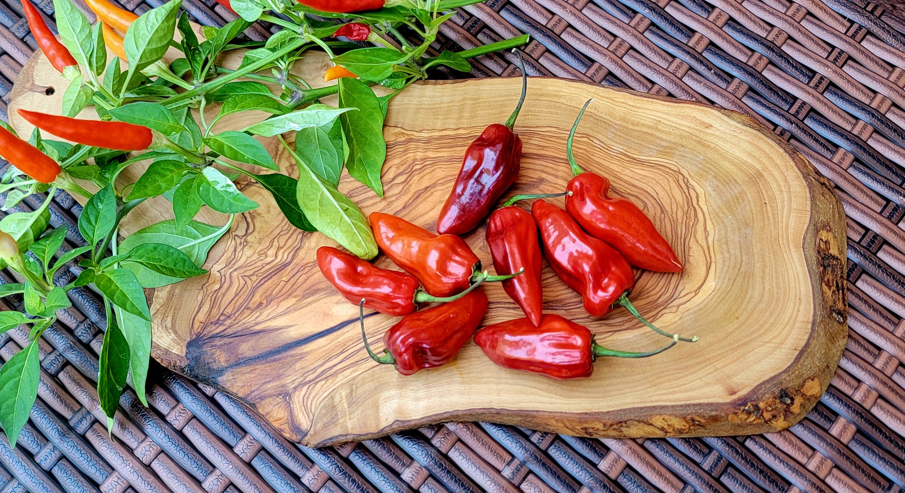 Naga Smooky Rainbow Pepper Seeds