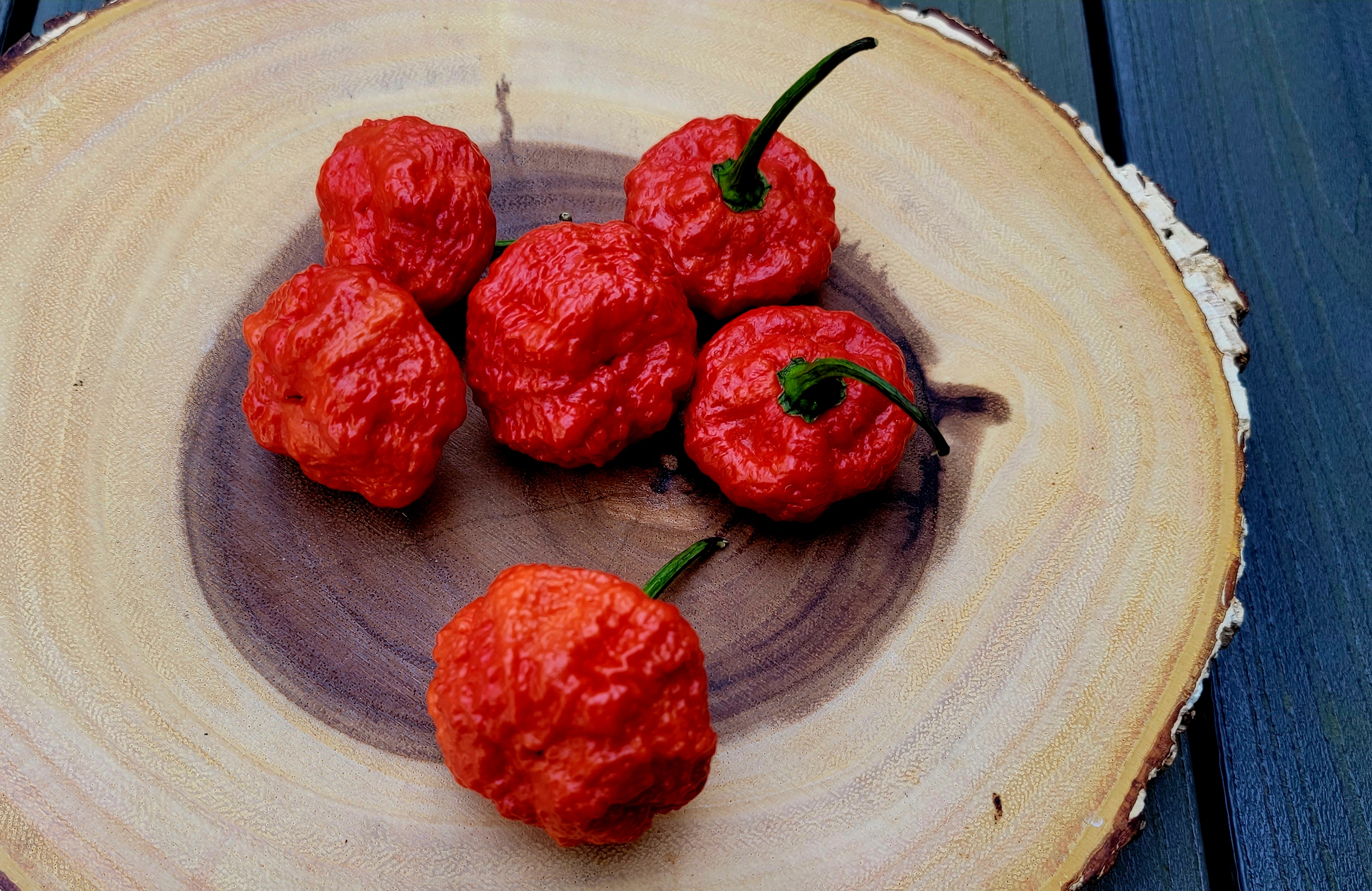 Scotch Brains Red Pepper Seeds
