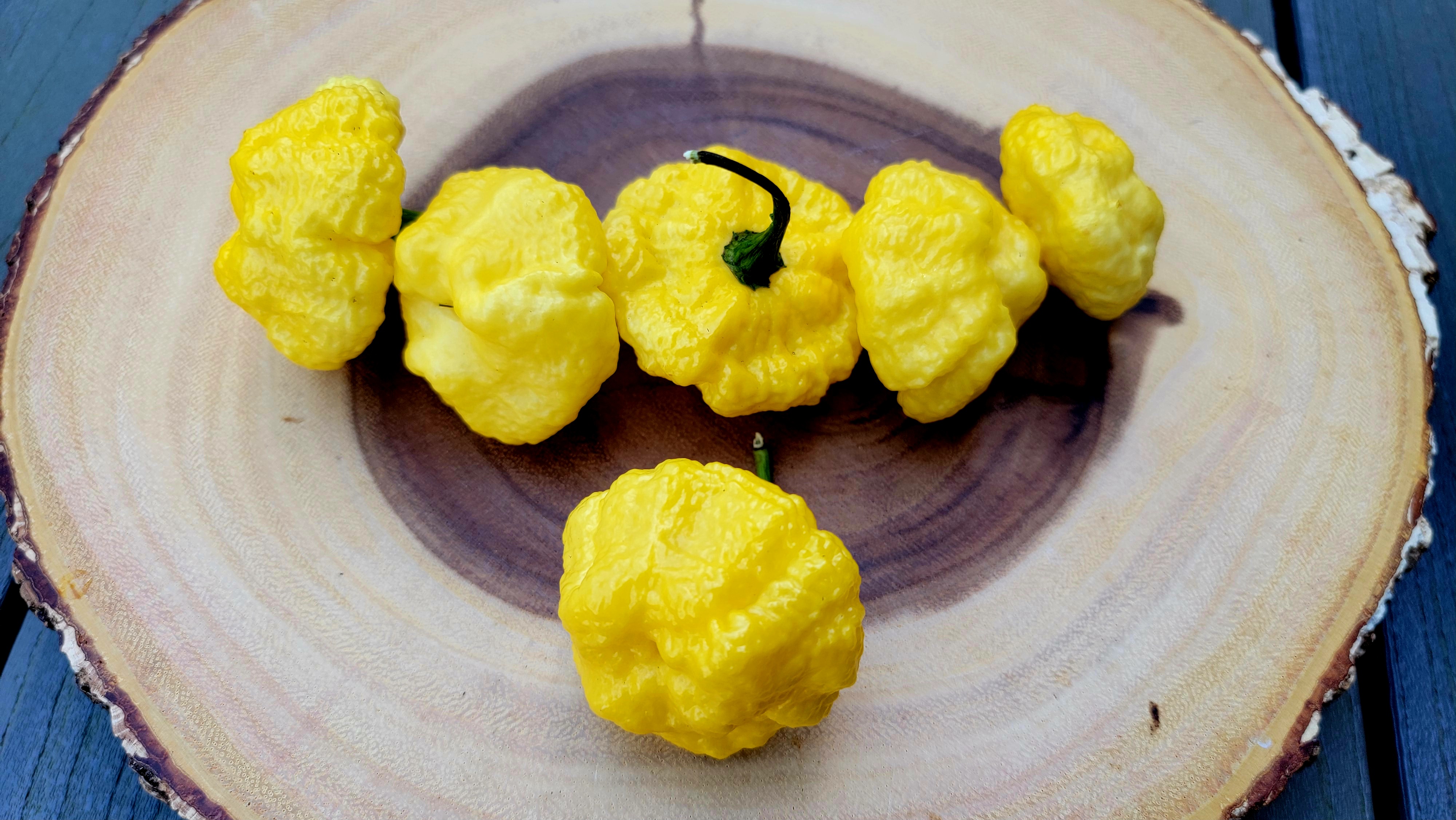 Scotch Brains Yellow Pepper Seeds