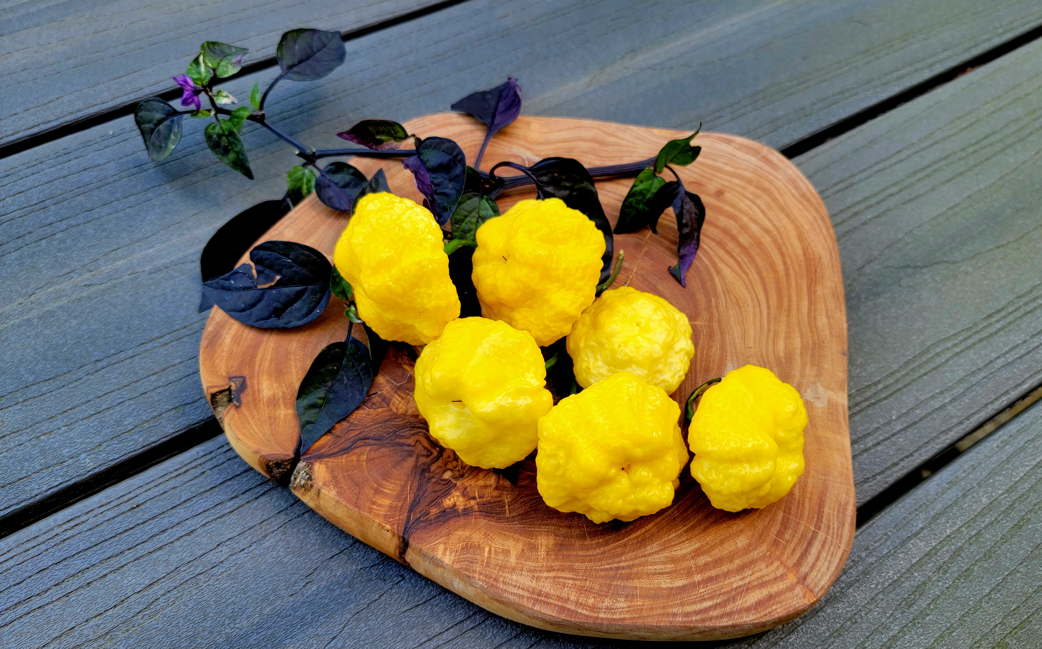 Scotch Brains Yellow Pepper Seeds