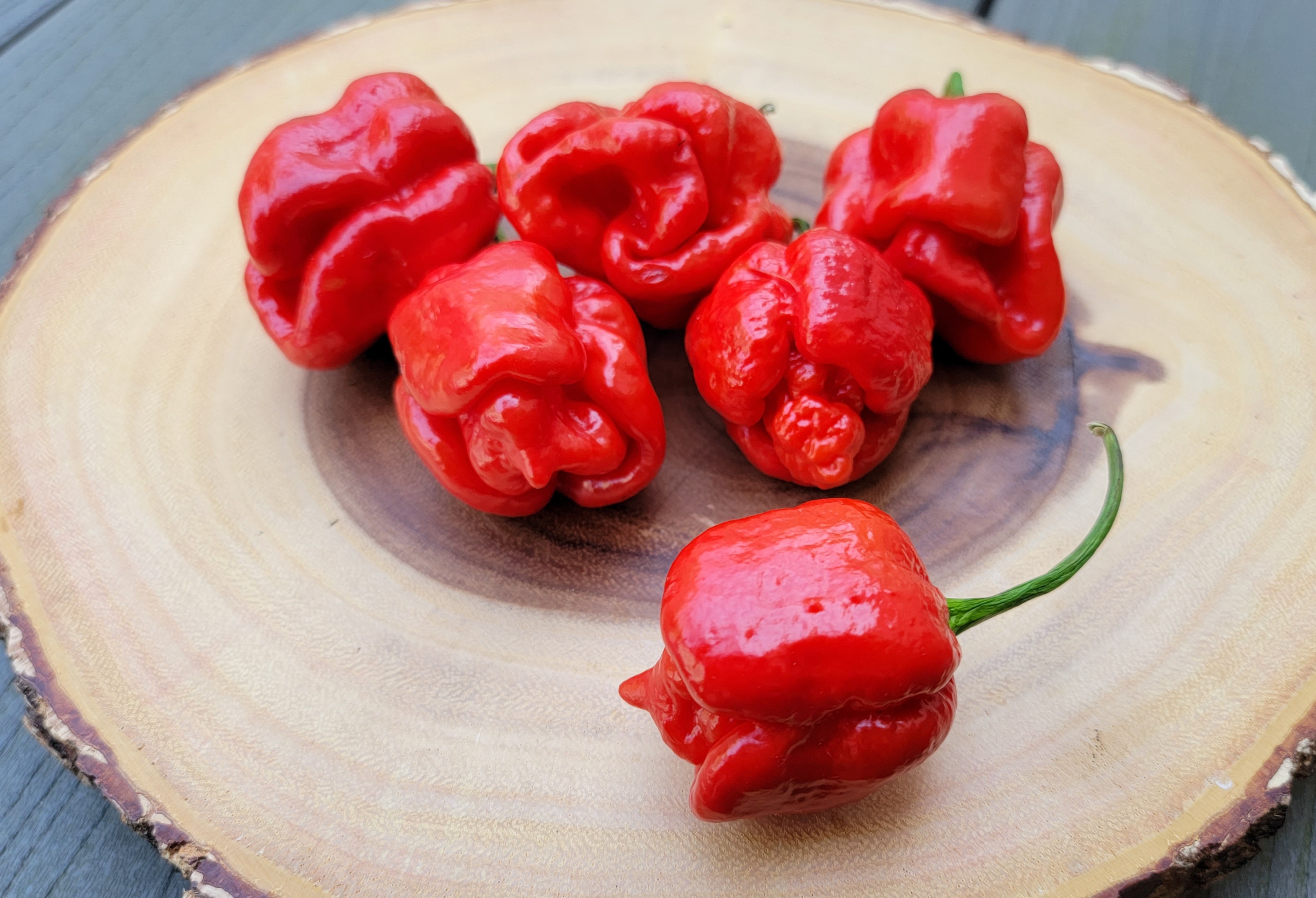 Trinidad Moruga Scorpion Pepper Seeds