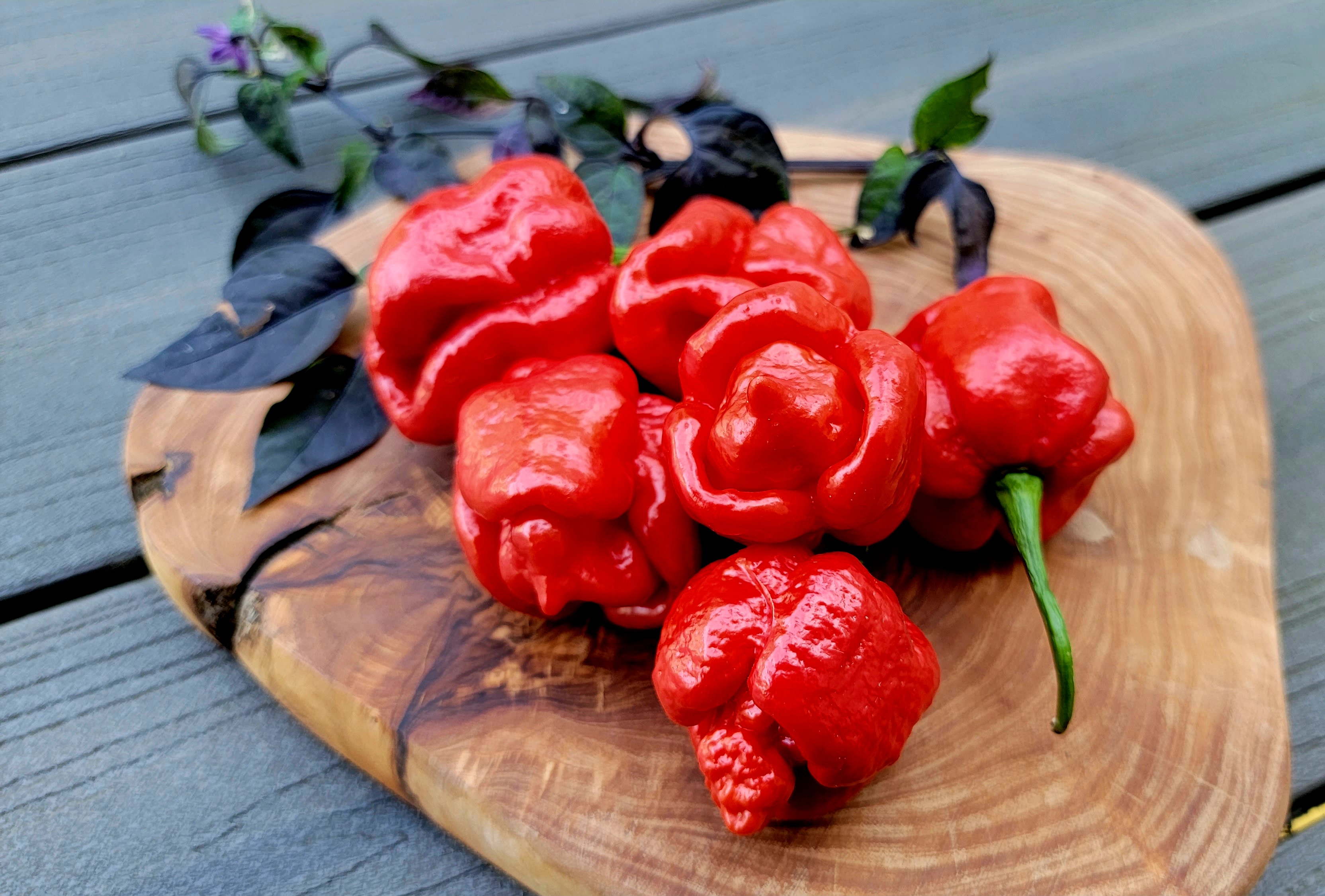 Trinidad Moruga Scorpion Pepper Seeds
