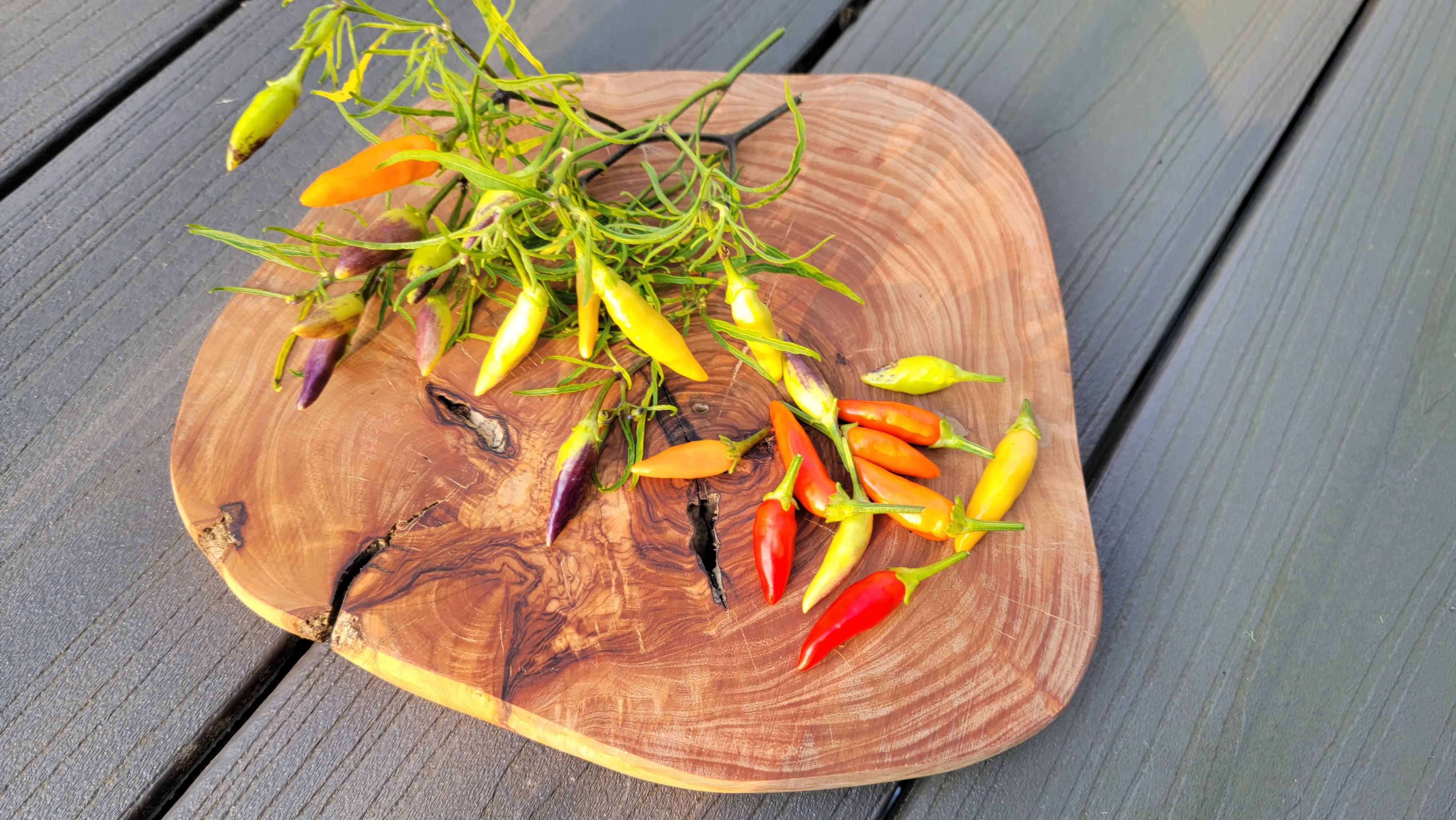 Xion Mutant Pepper Seeds