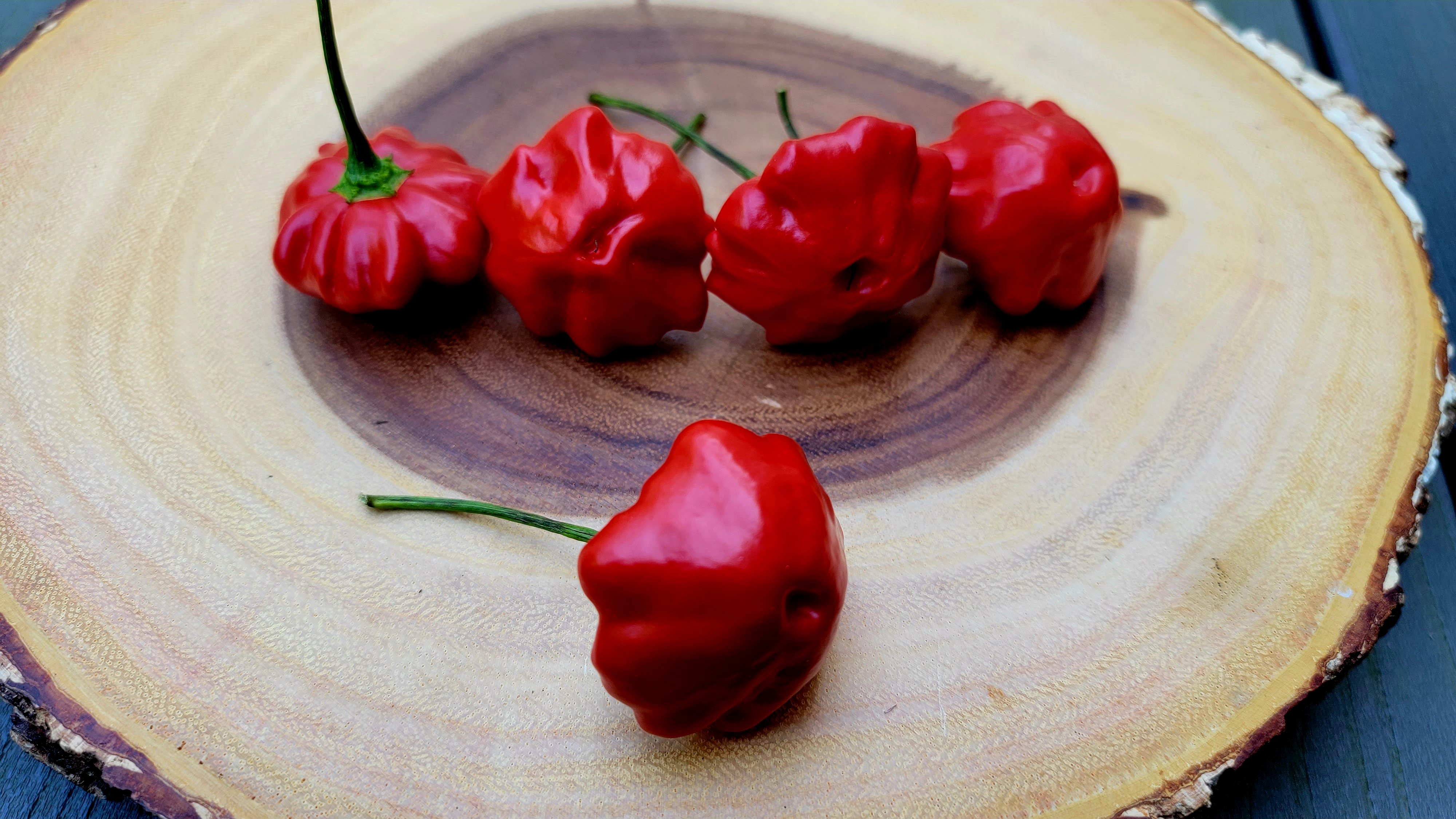 Brazilian Starfish Pepper Seeds