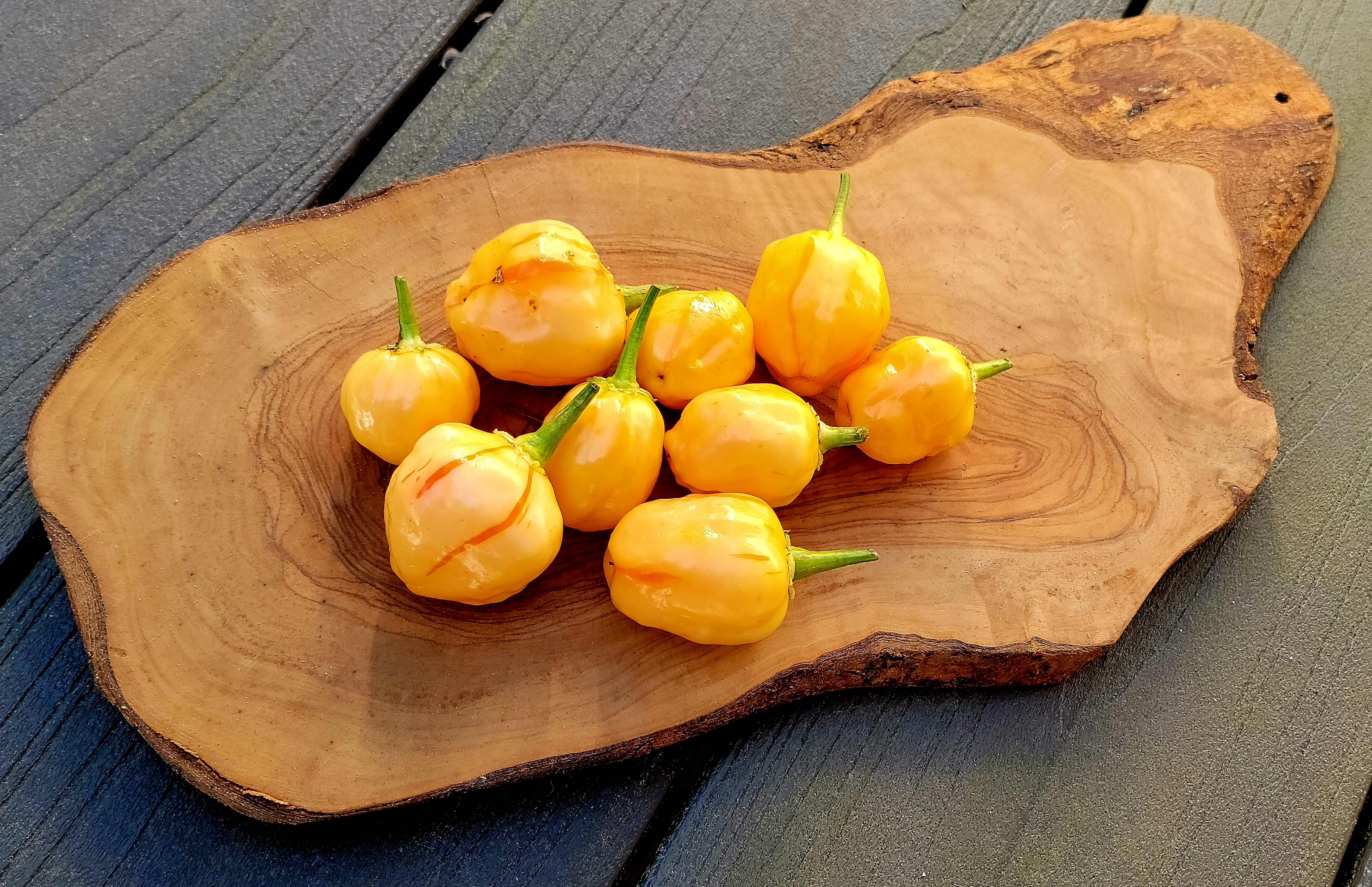 Peppapeach Stripey Pepper Seeds