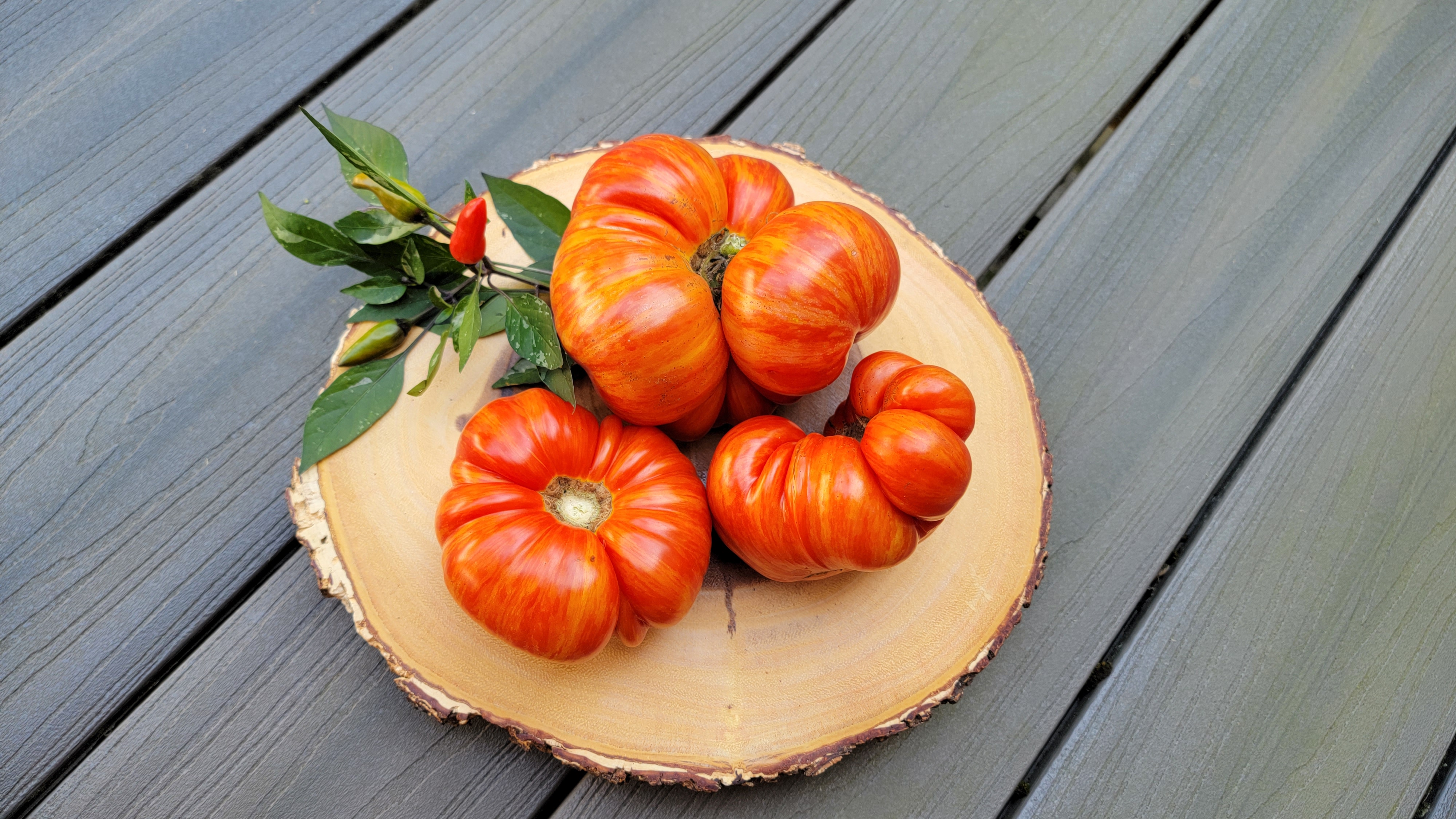 Feuerwerk (Firework) Tomato