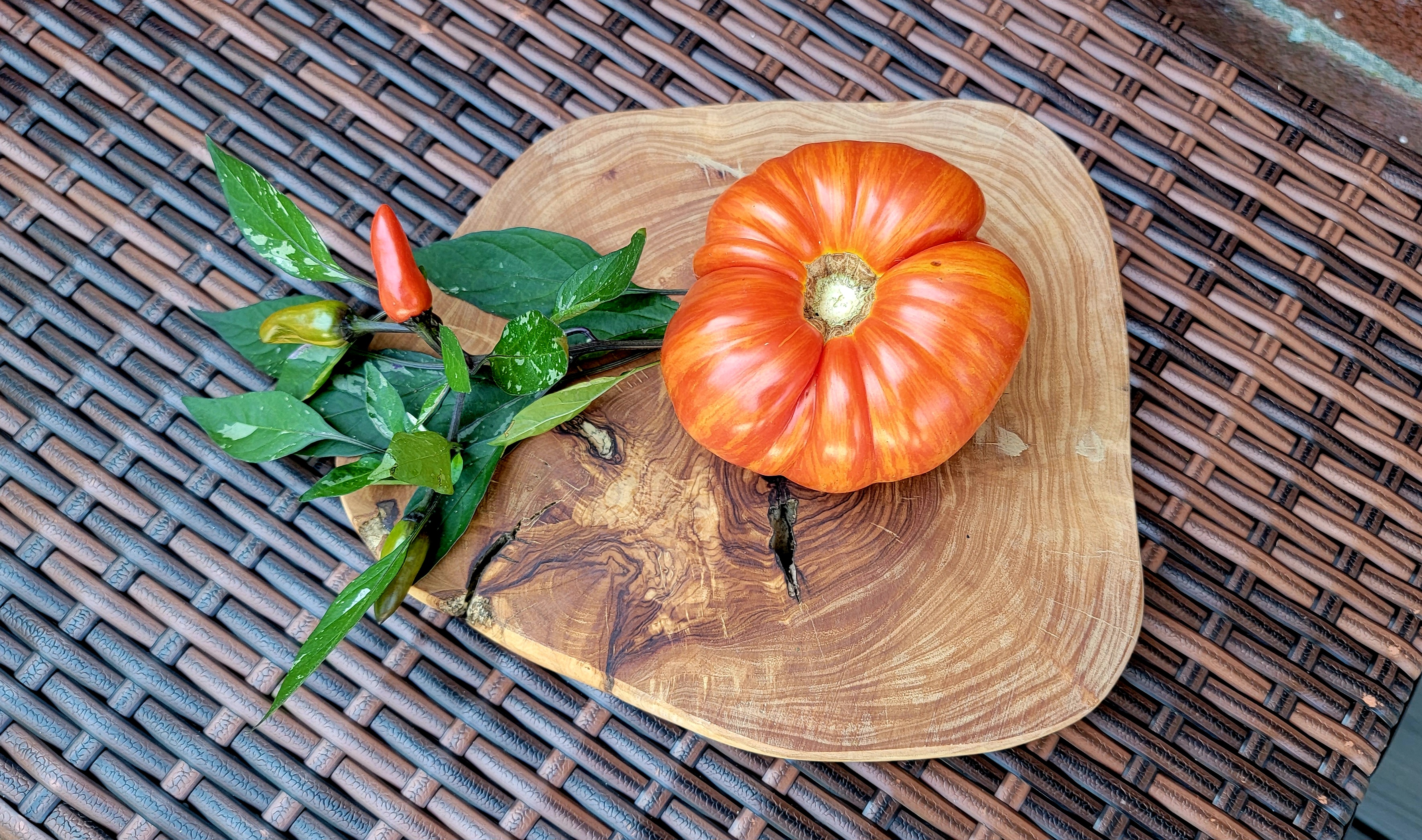 Feuerwerk (Firework) Tomato