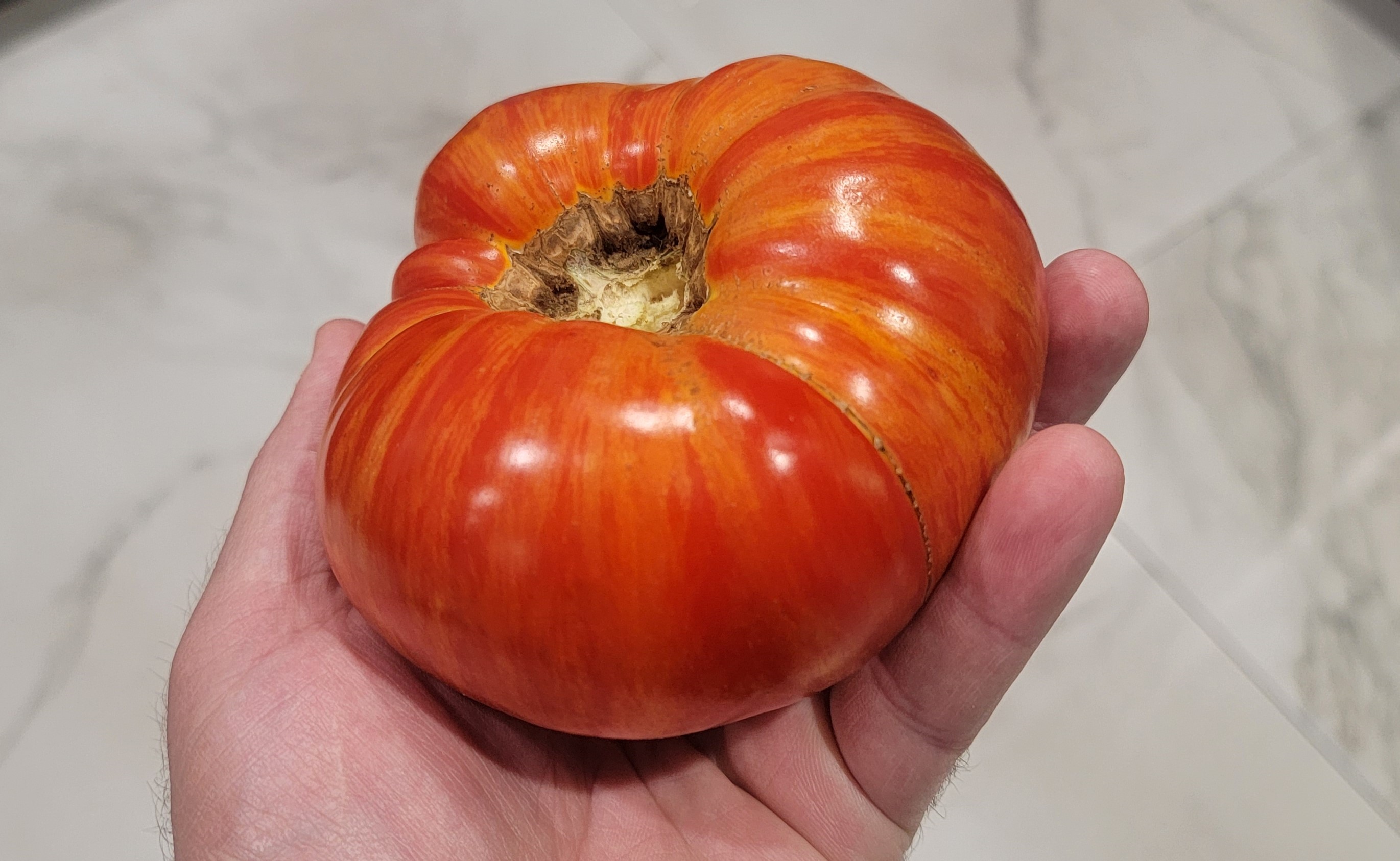 Feuerwerk (Firework) Tomato
