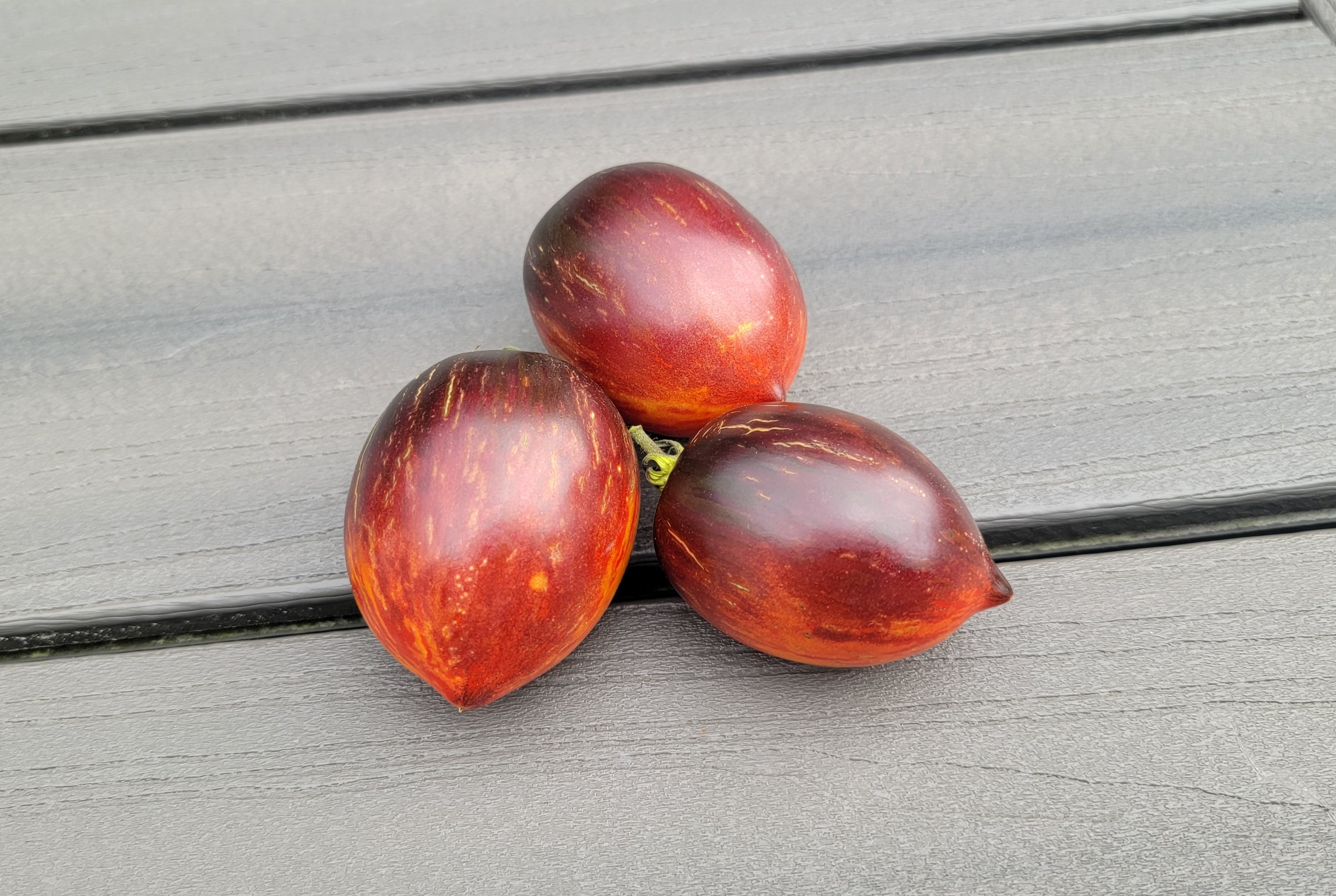 Gargamel Tomato