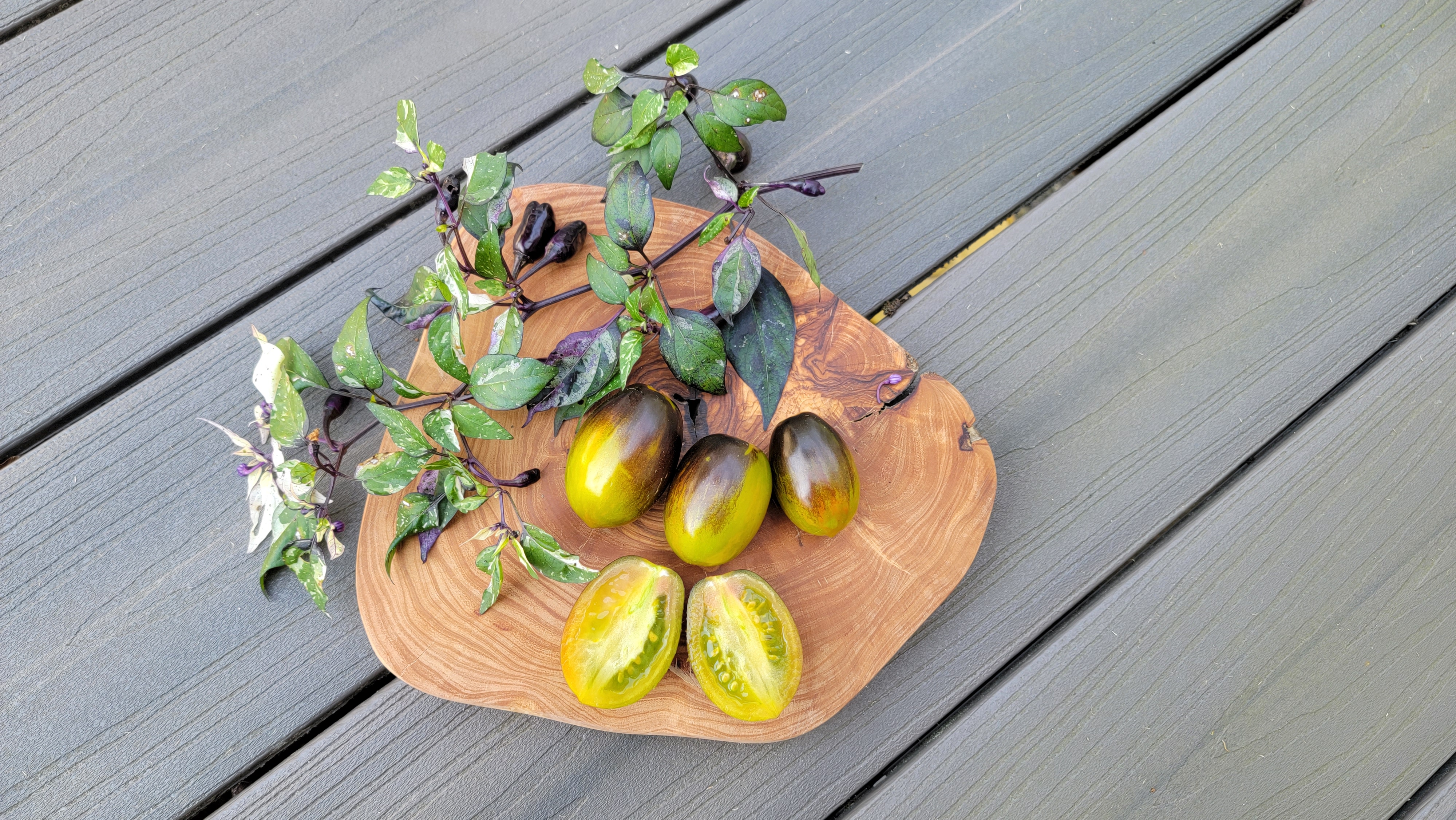 Brad's Atomic Grape Tomato