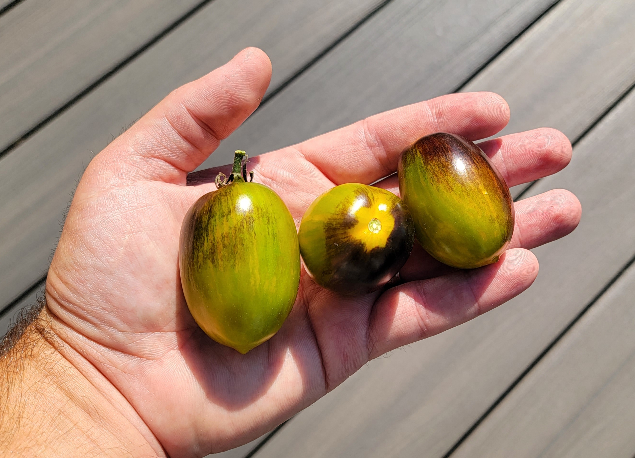 Brad's Atomic Grape Tomato