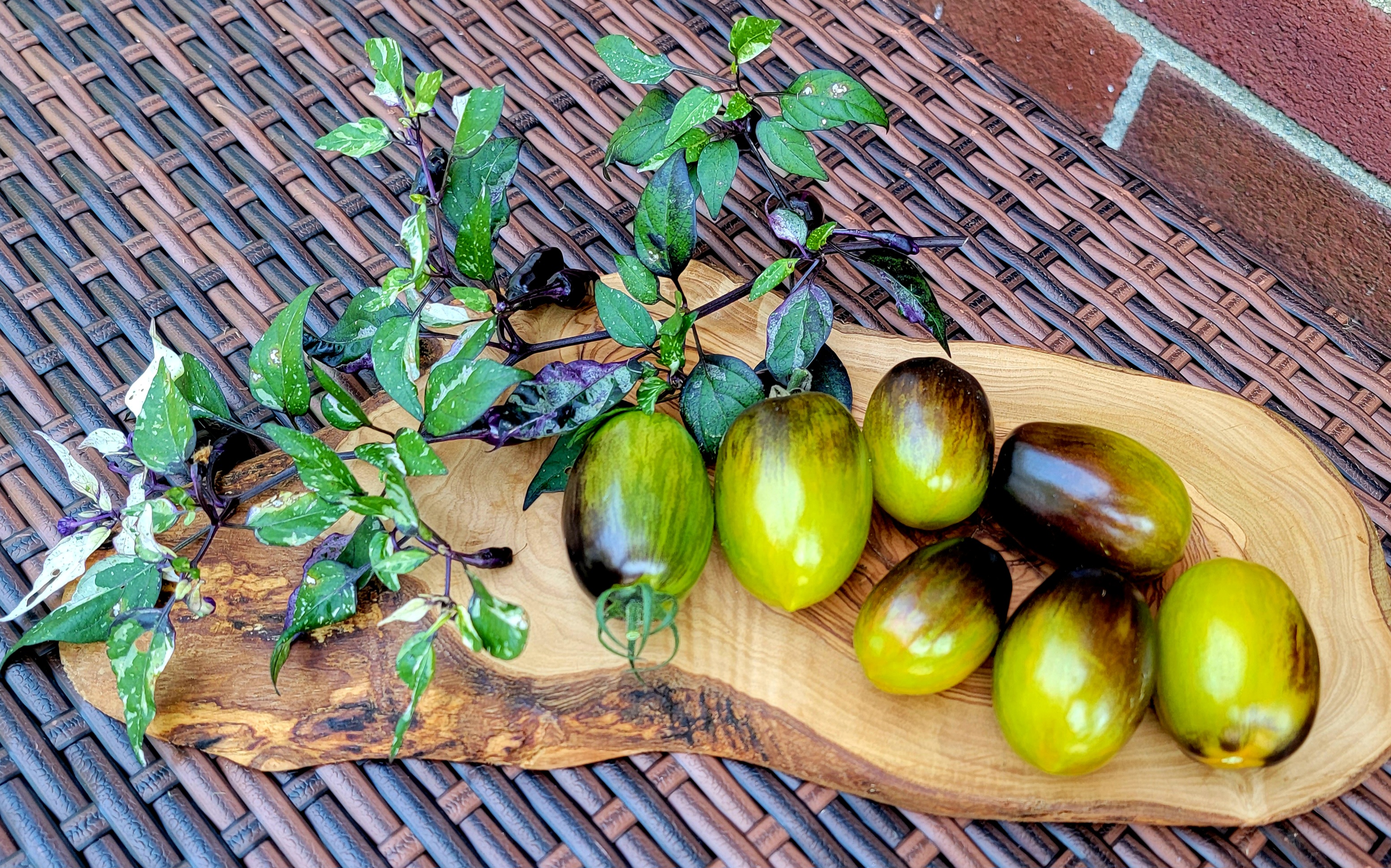 Brad's Atomic Grape Tomato