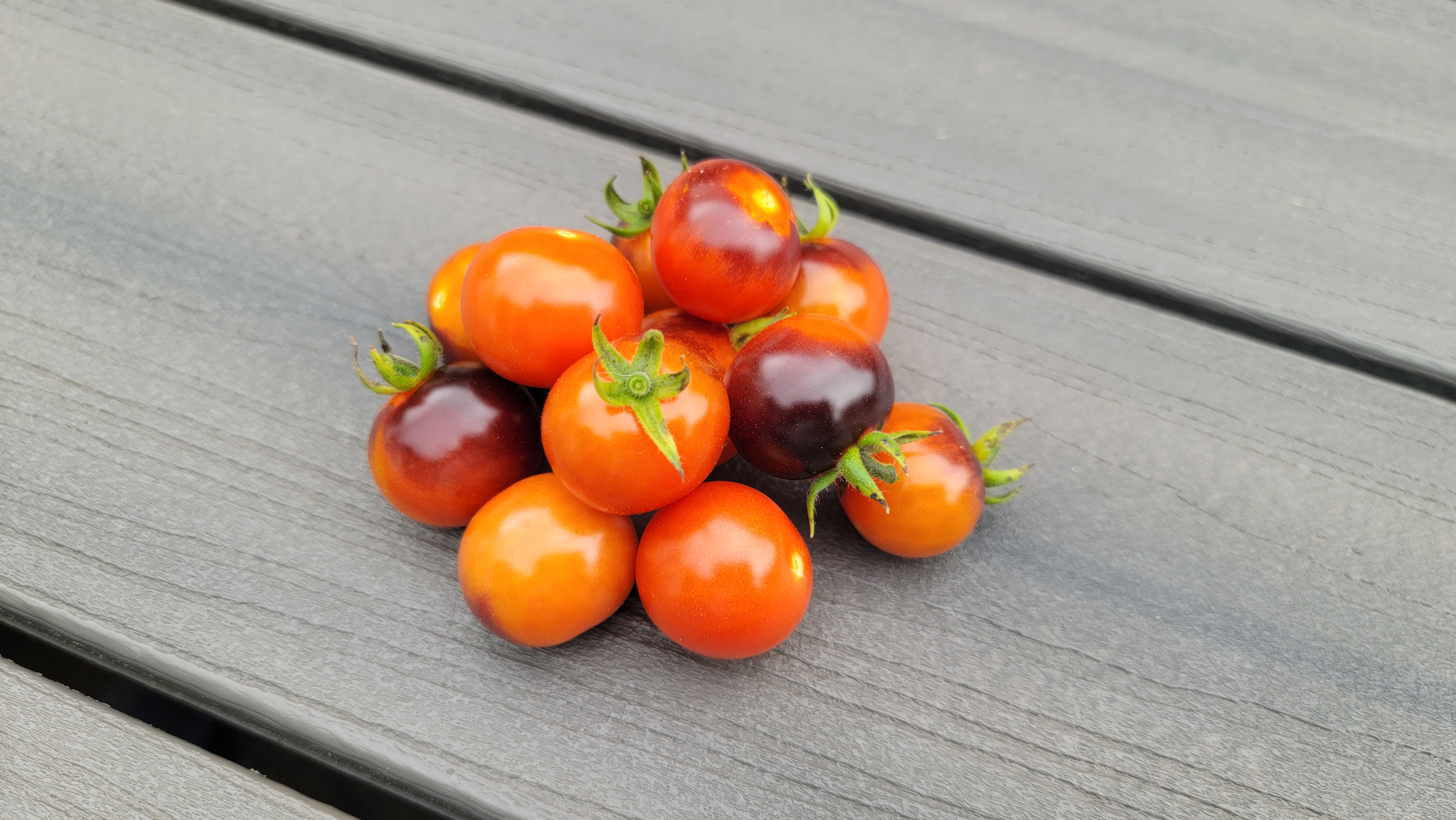 Blueberry Cherry Tomato