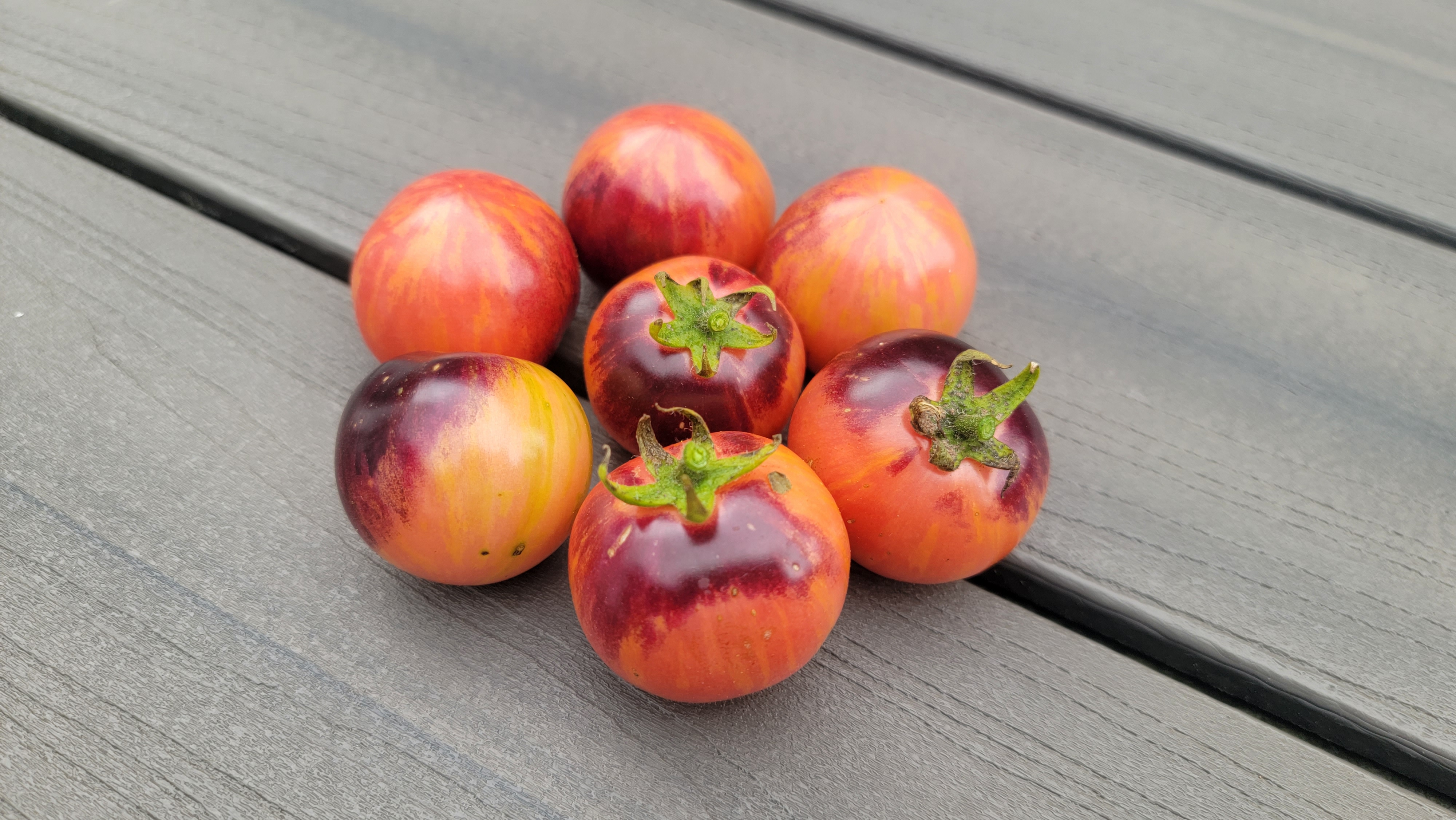 Black Strawberry Tomato