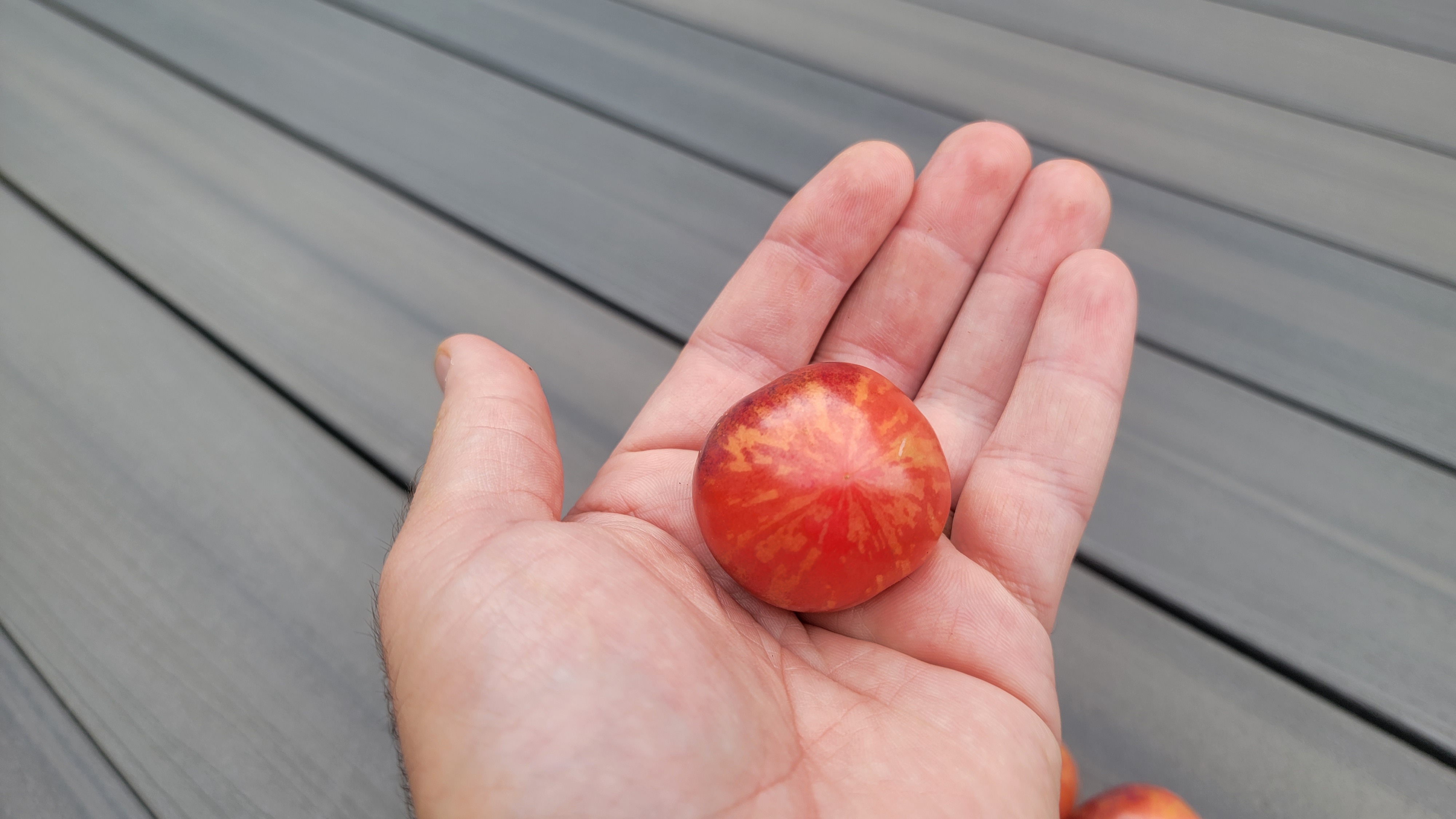 Black Strawberry Tomato