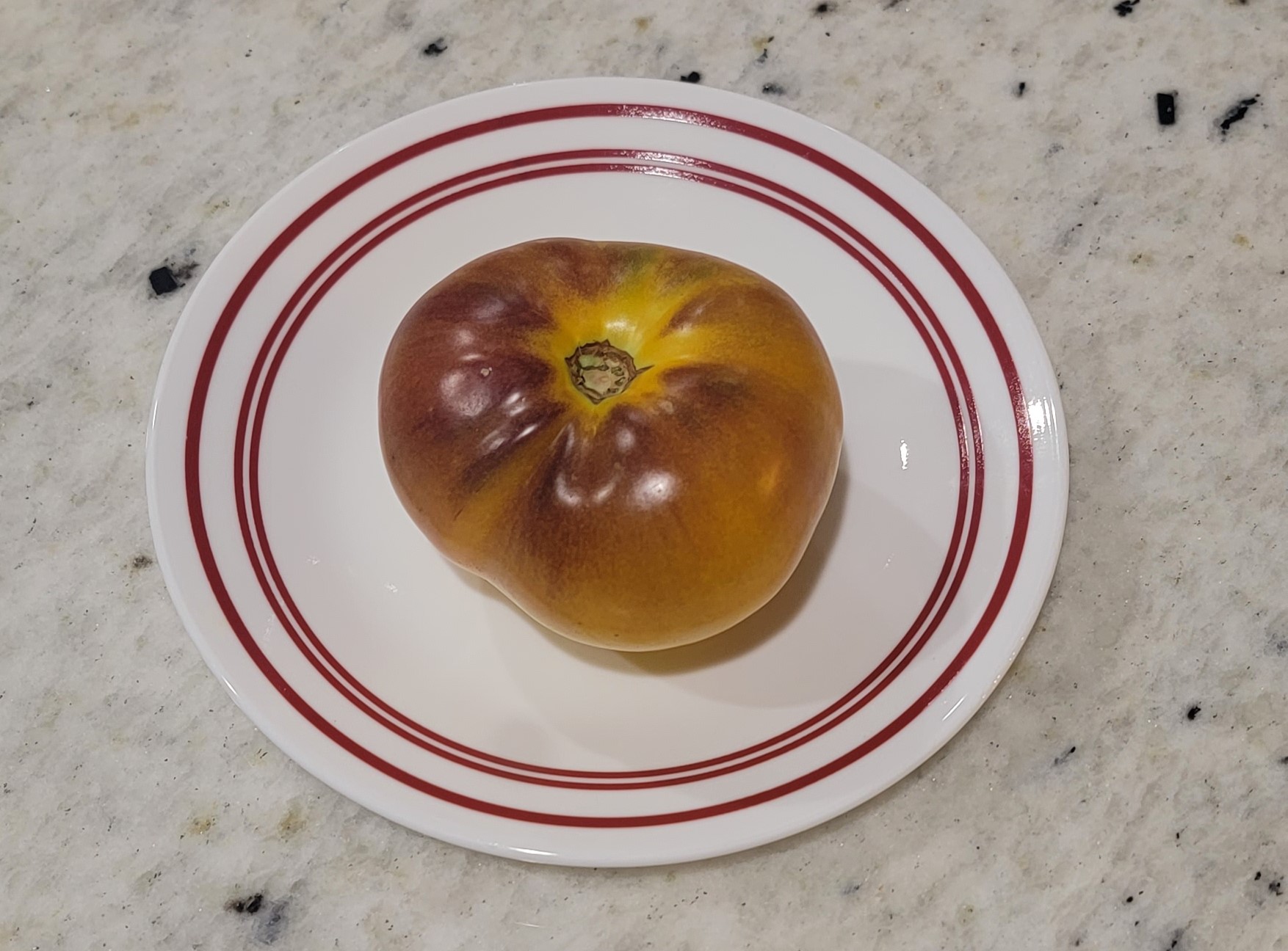 Alice's Dream Tomato