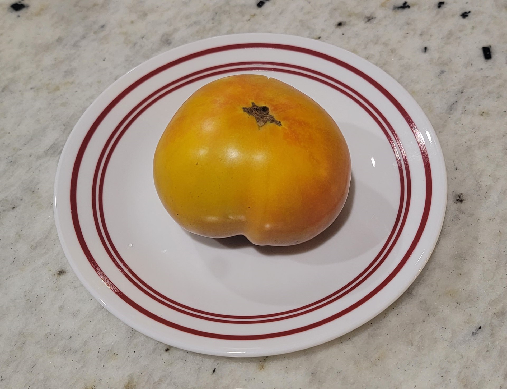 Alice's Dream Tomato