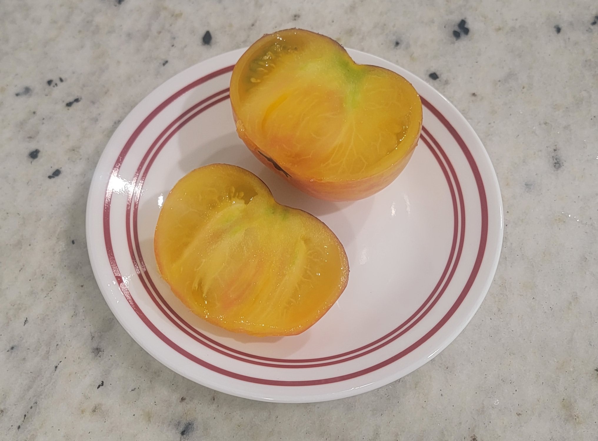 Alice's Dream Tomato