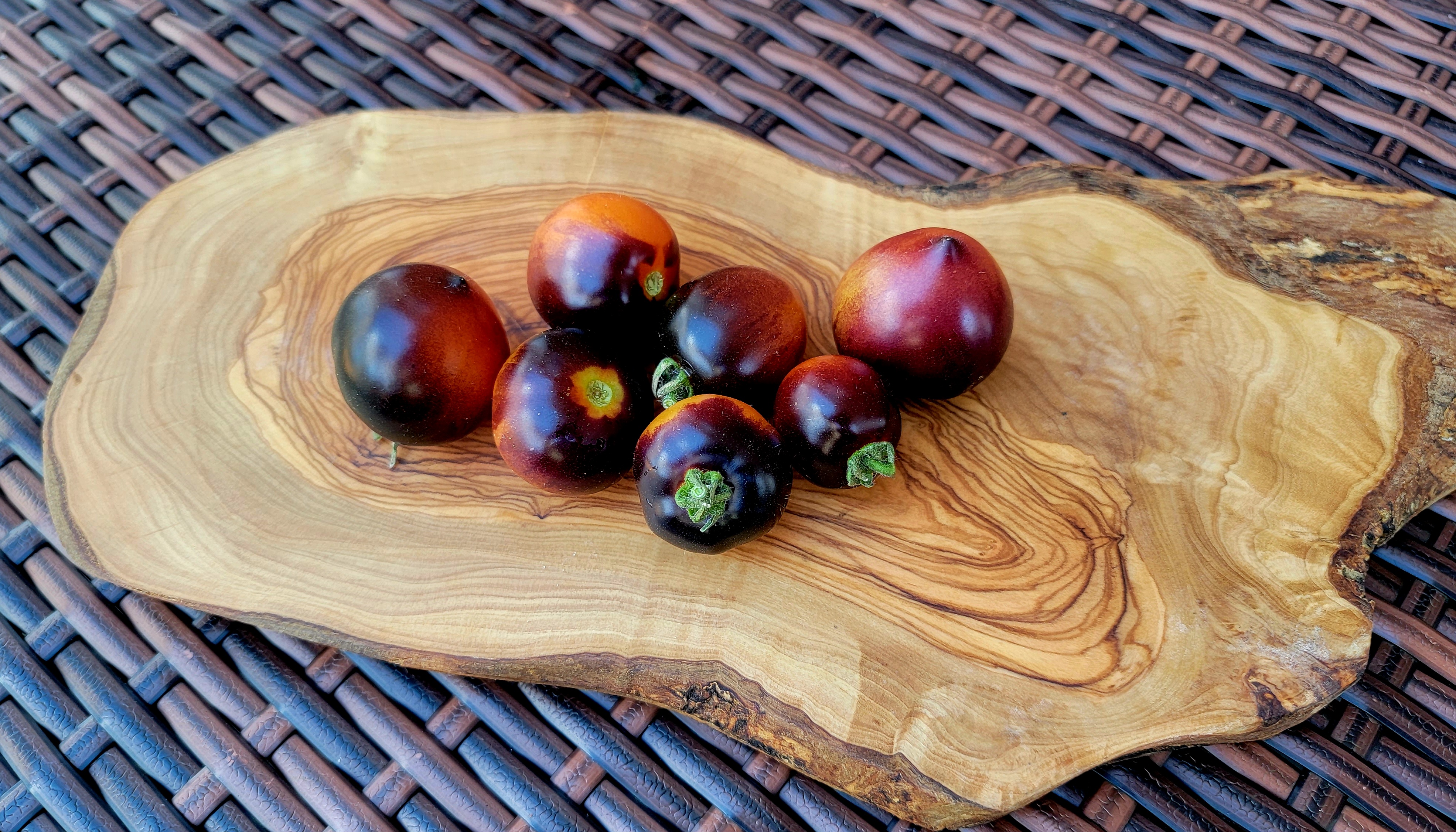 Tartufo Micro Dwarf Tomato