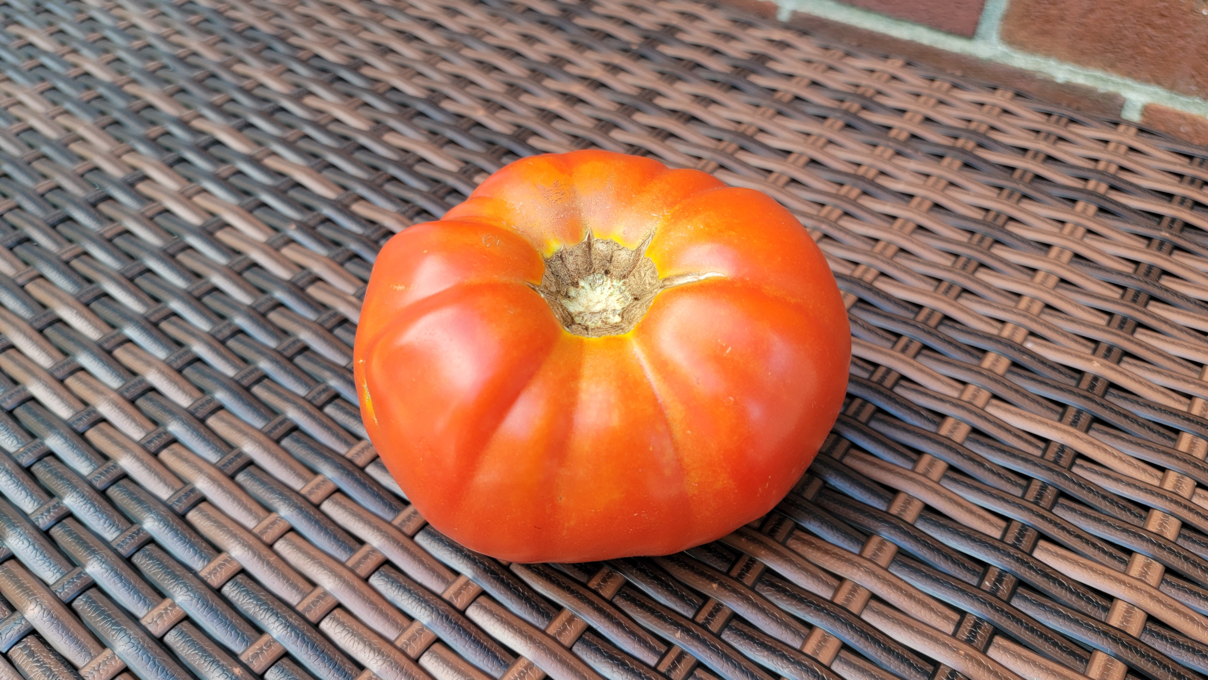 Striped German Tomato