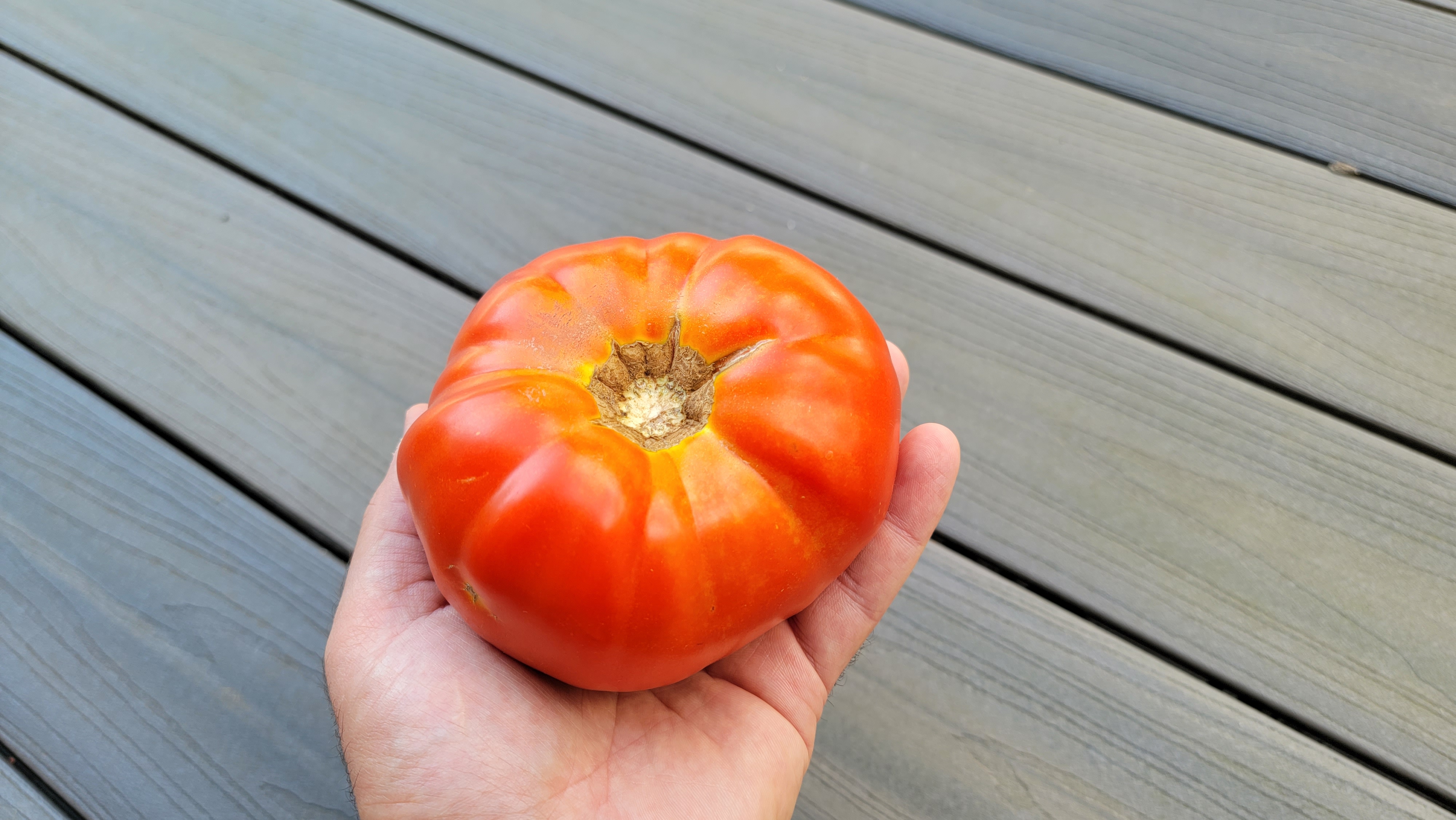 Striped German Tomato