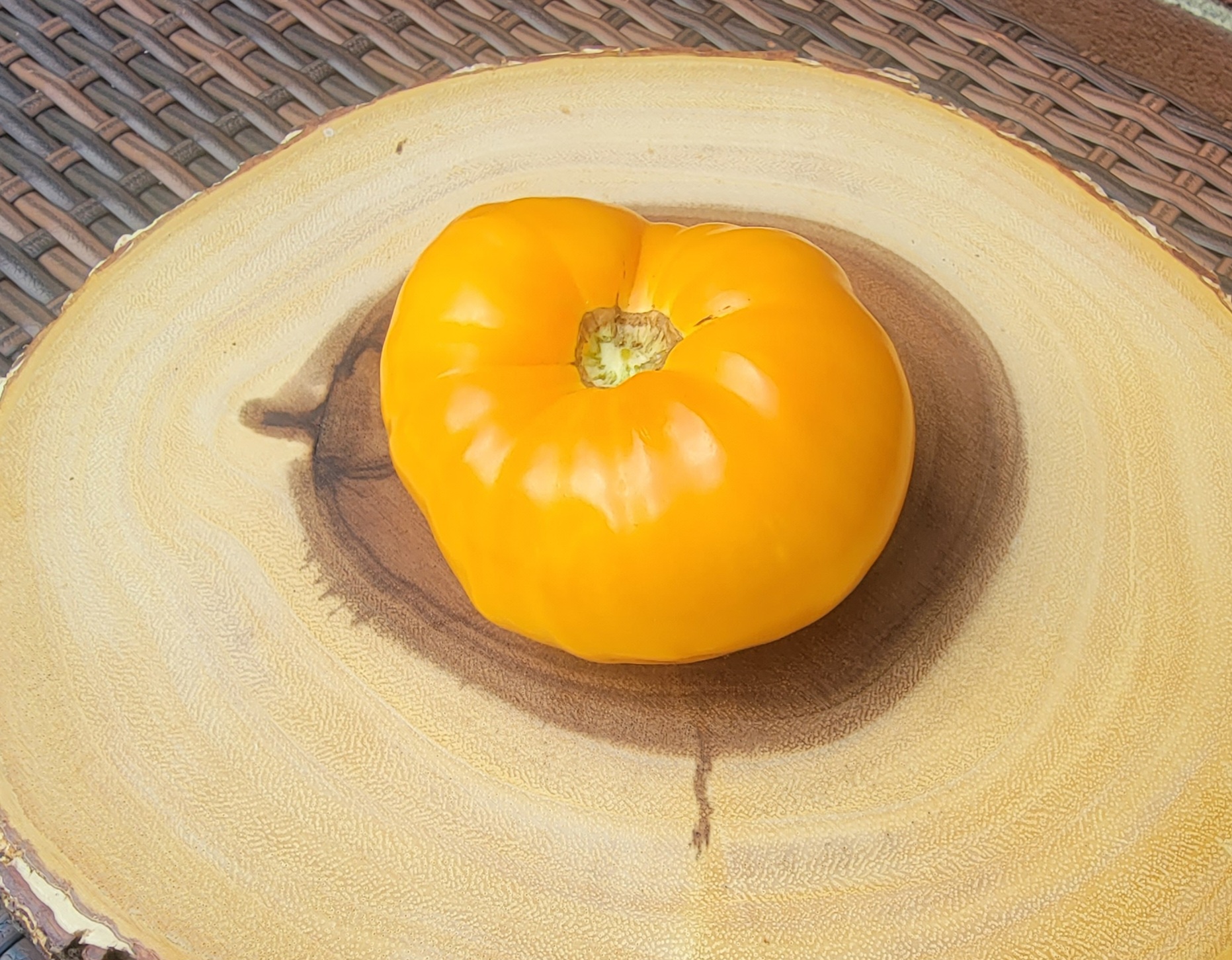 Amana Orange Tomato