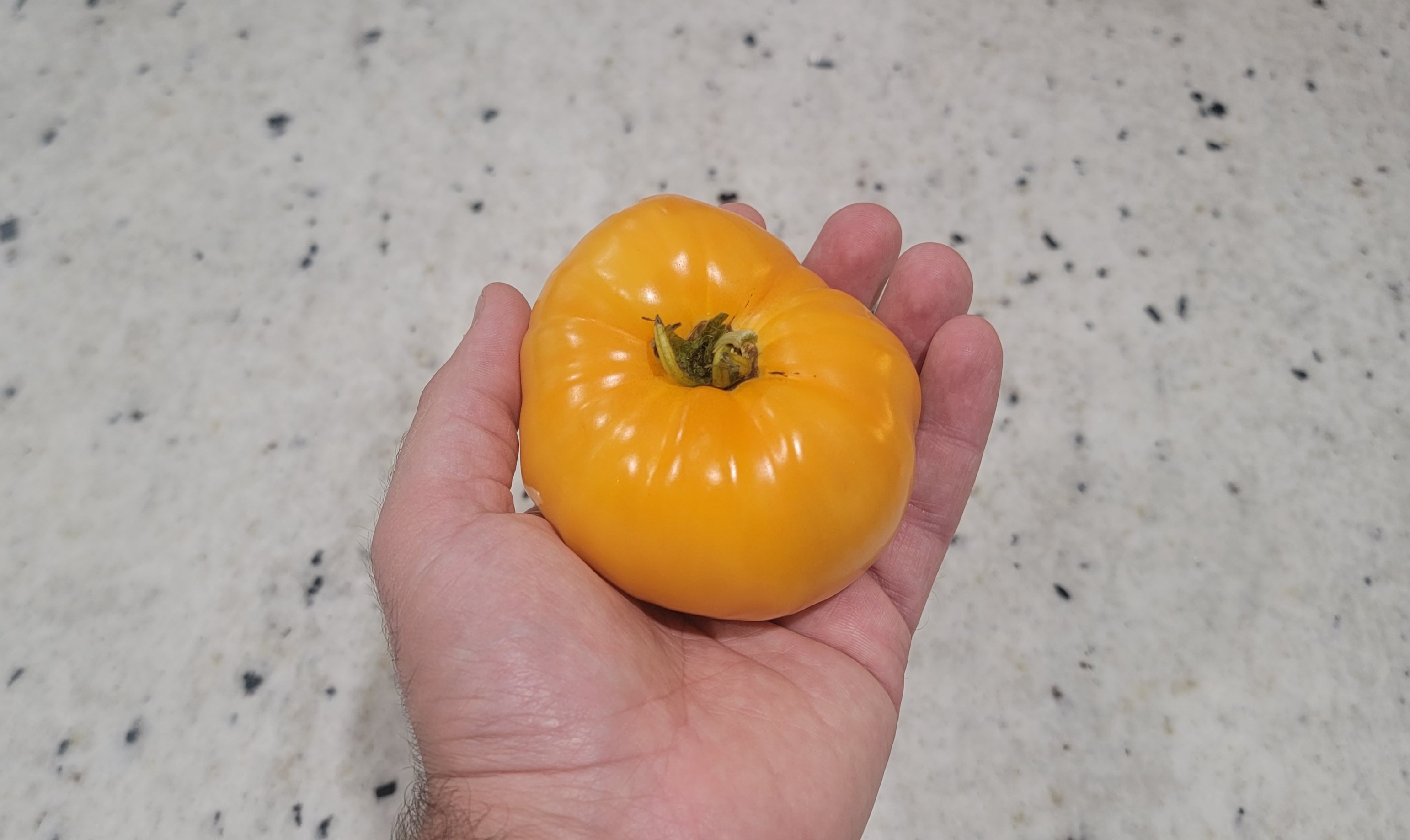 Amana Orange Tomato