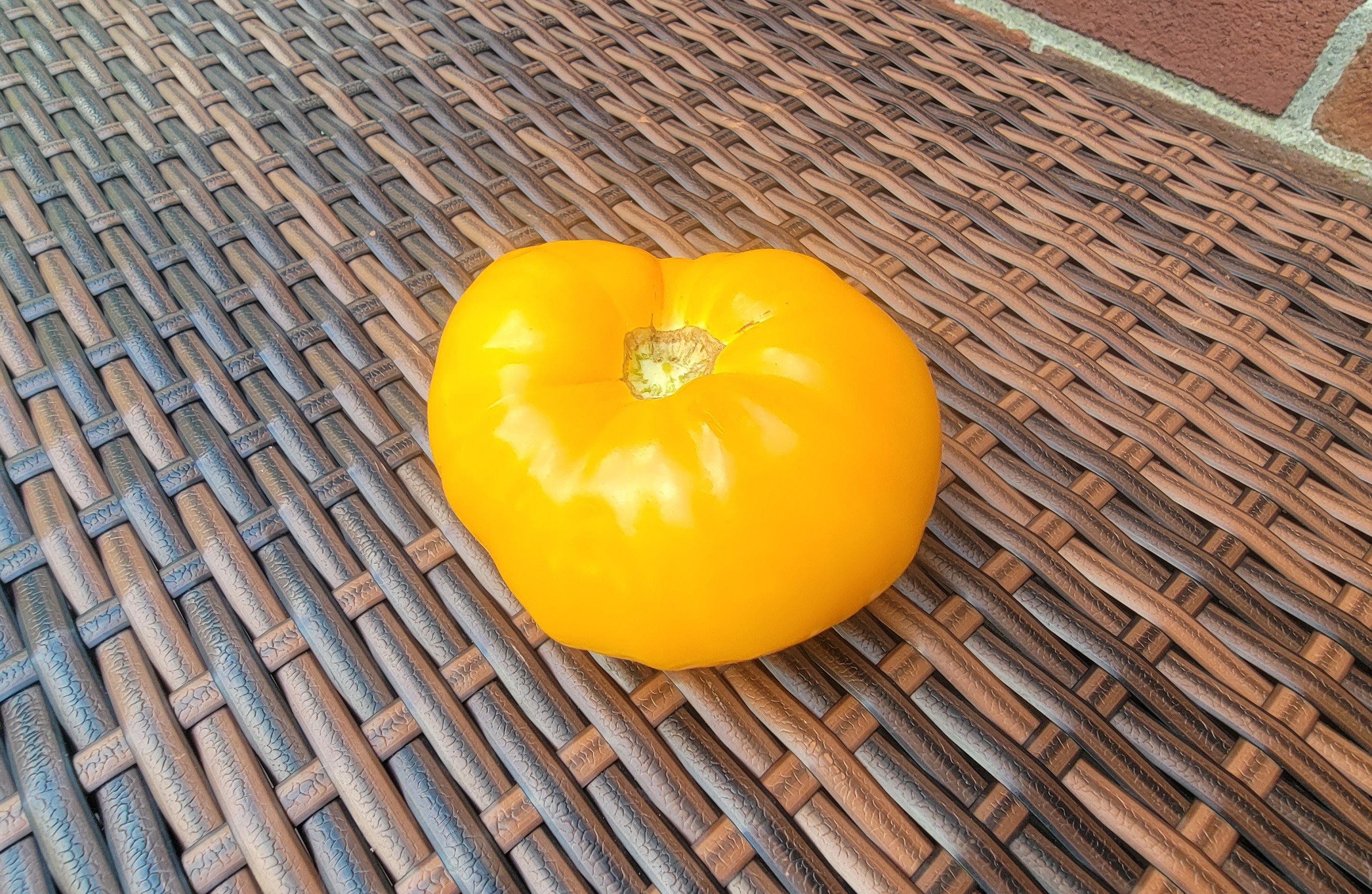 Amana Orange Tomato
