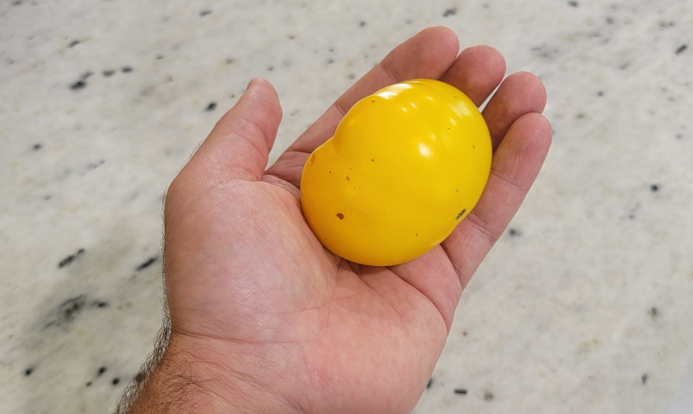 Azoychka Tomato