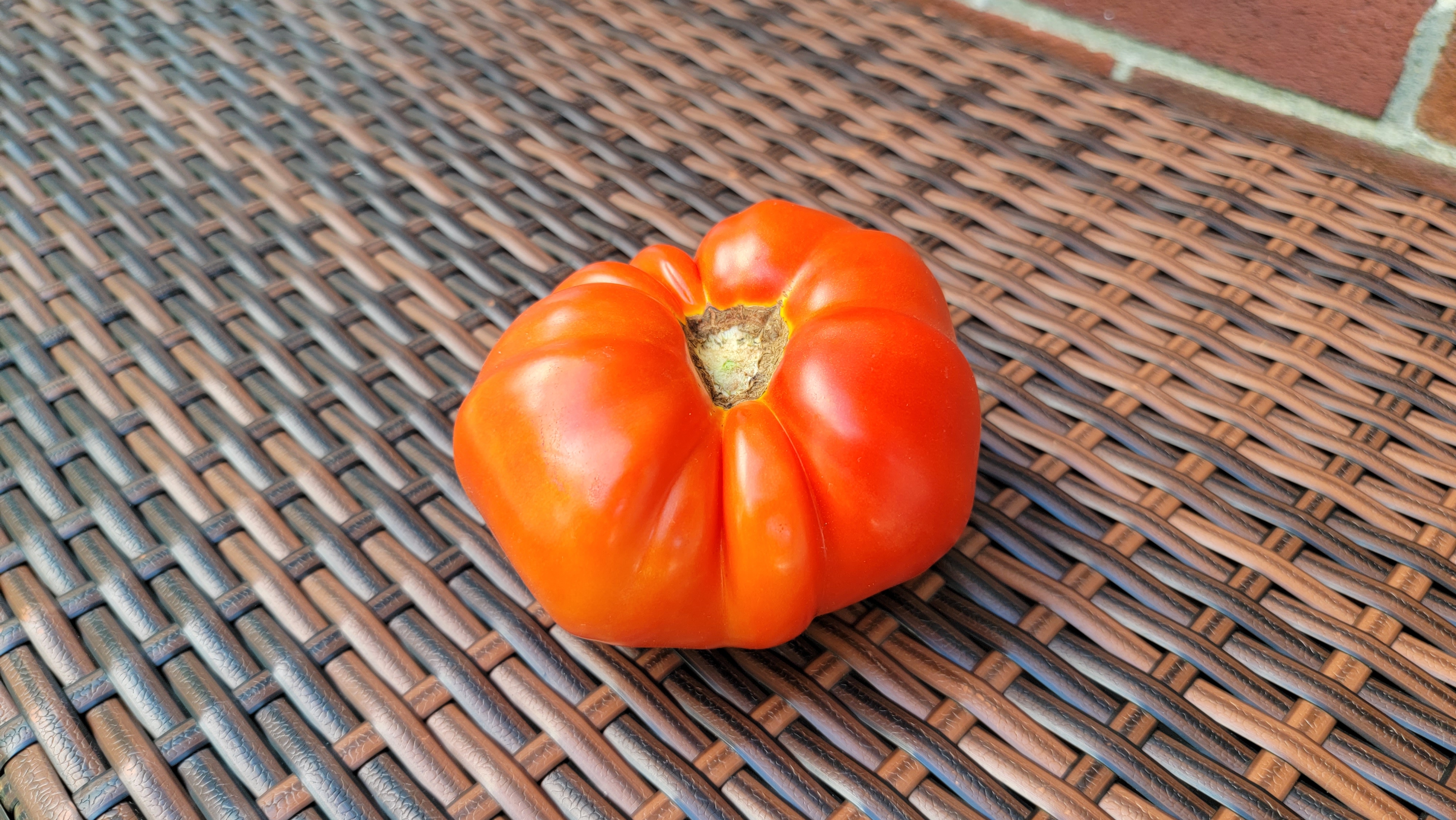 Beefsteak Red Tomato
