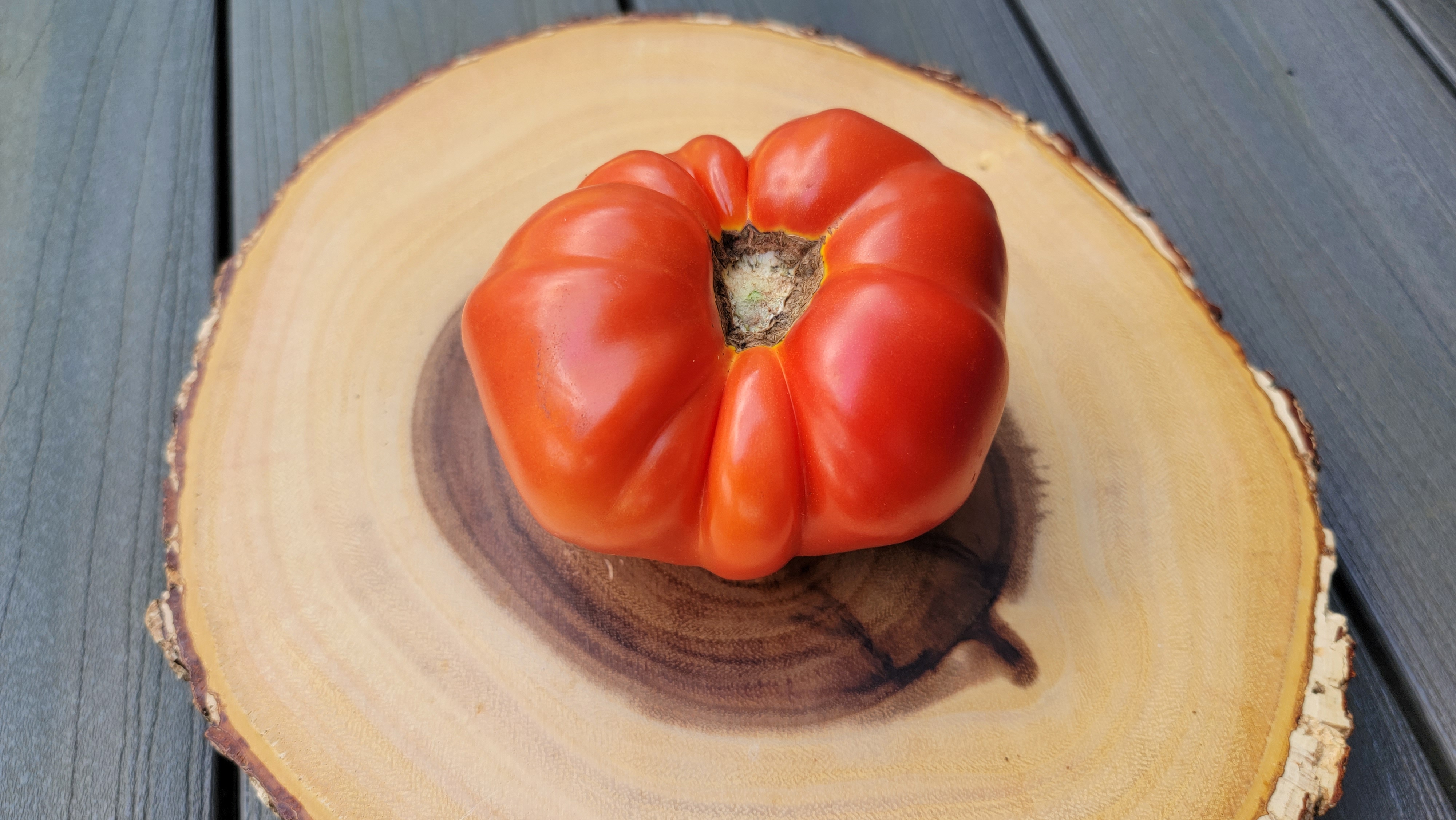 Beefsteak Red Tomato