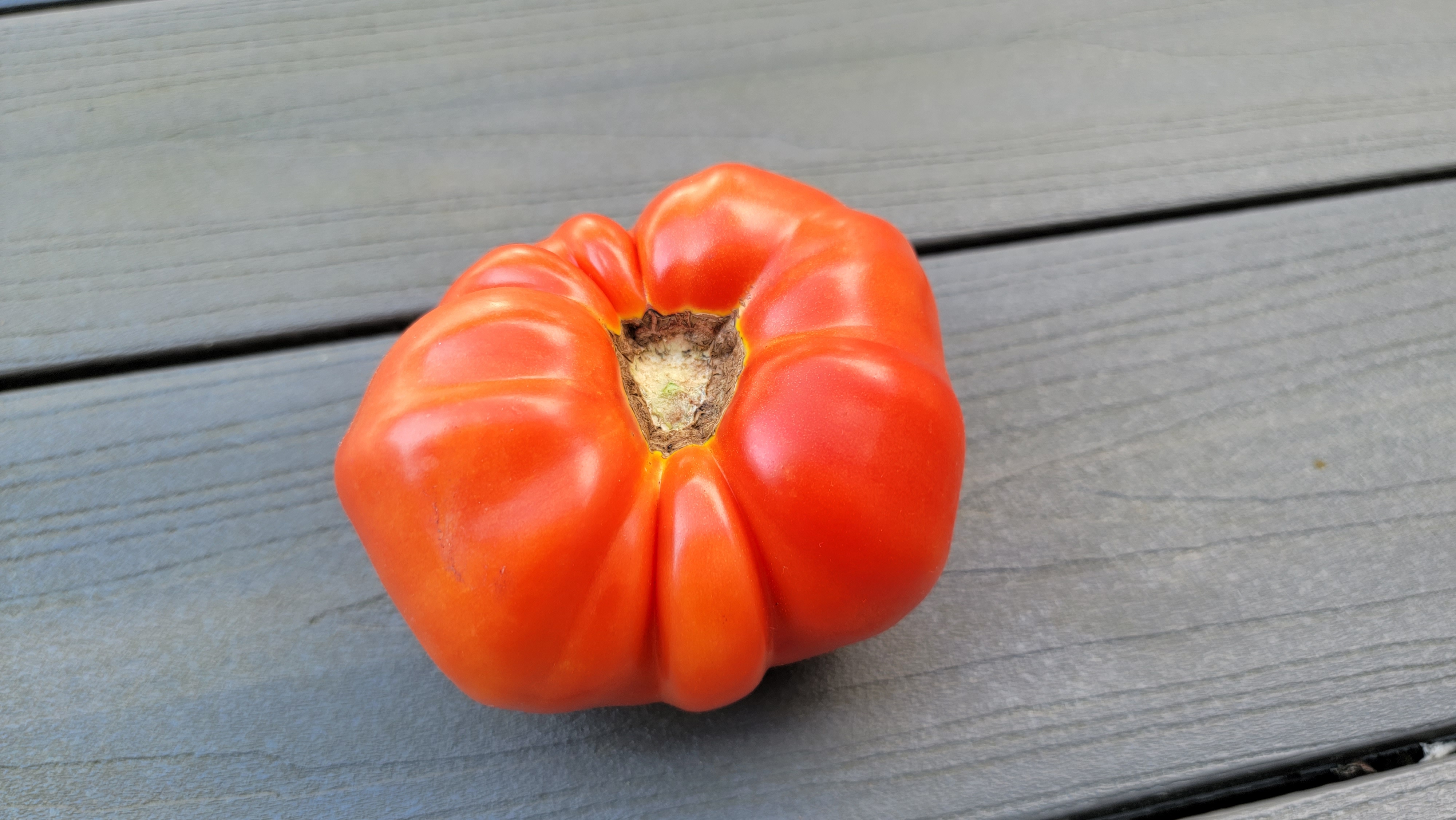 Beefsteak Red Tomato