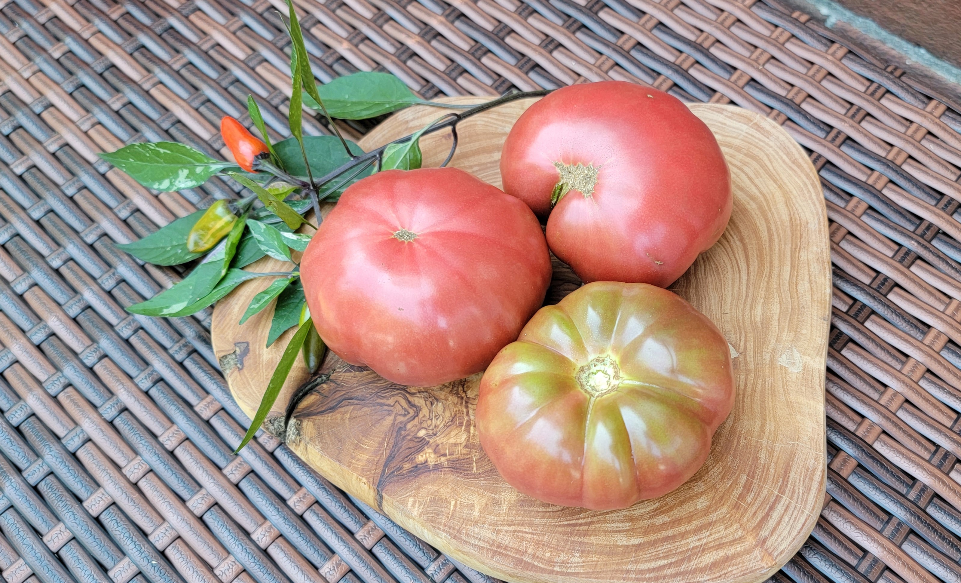 Black Krim Tomato