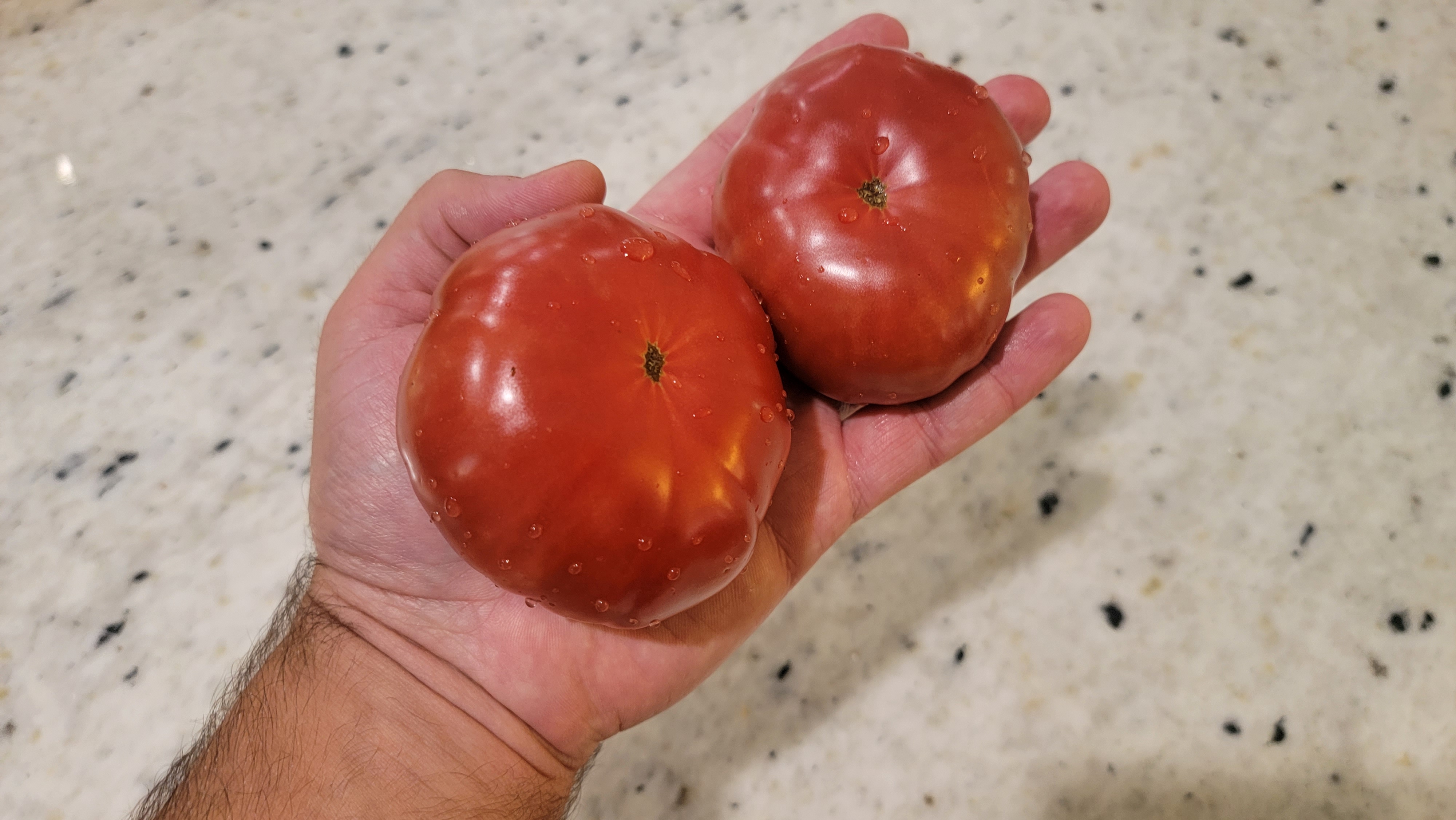 Black Krim Tomato