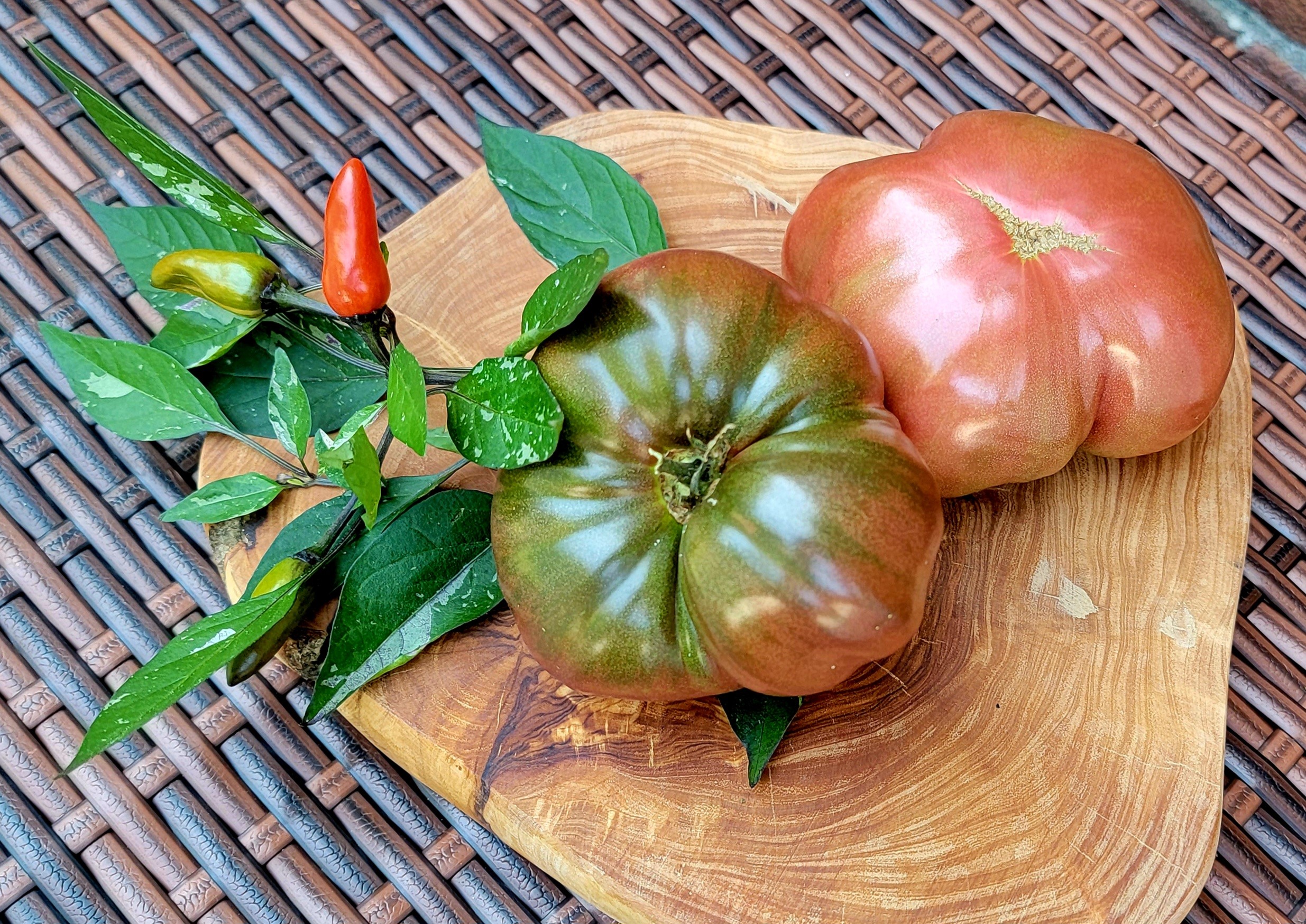 Cherokee Purple Tomato