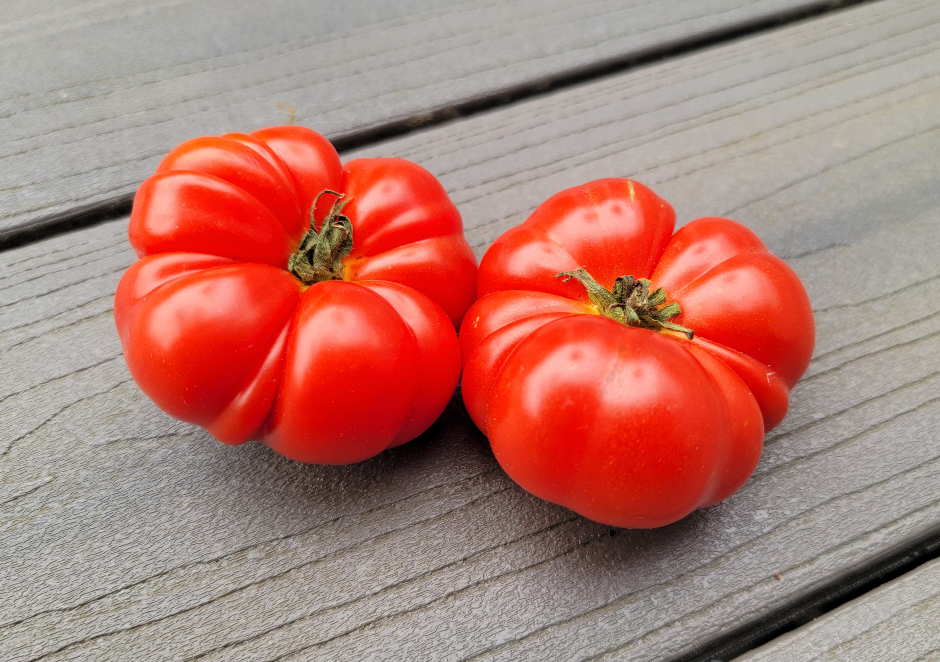 Florentine Ribbed (Costoluto Fiorentino) Tomato