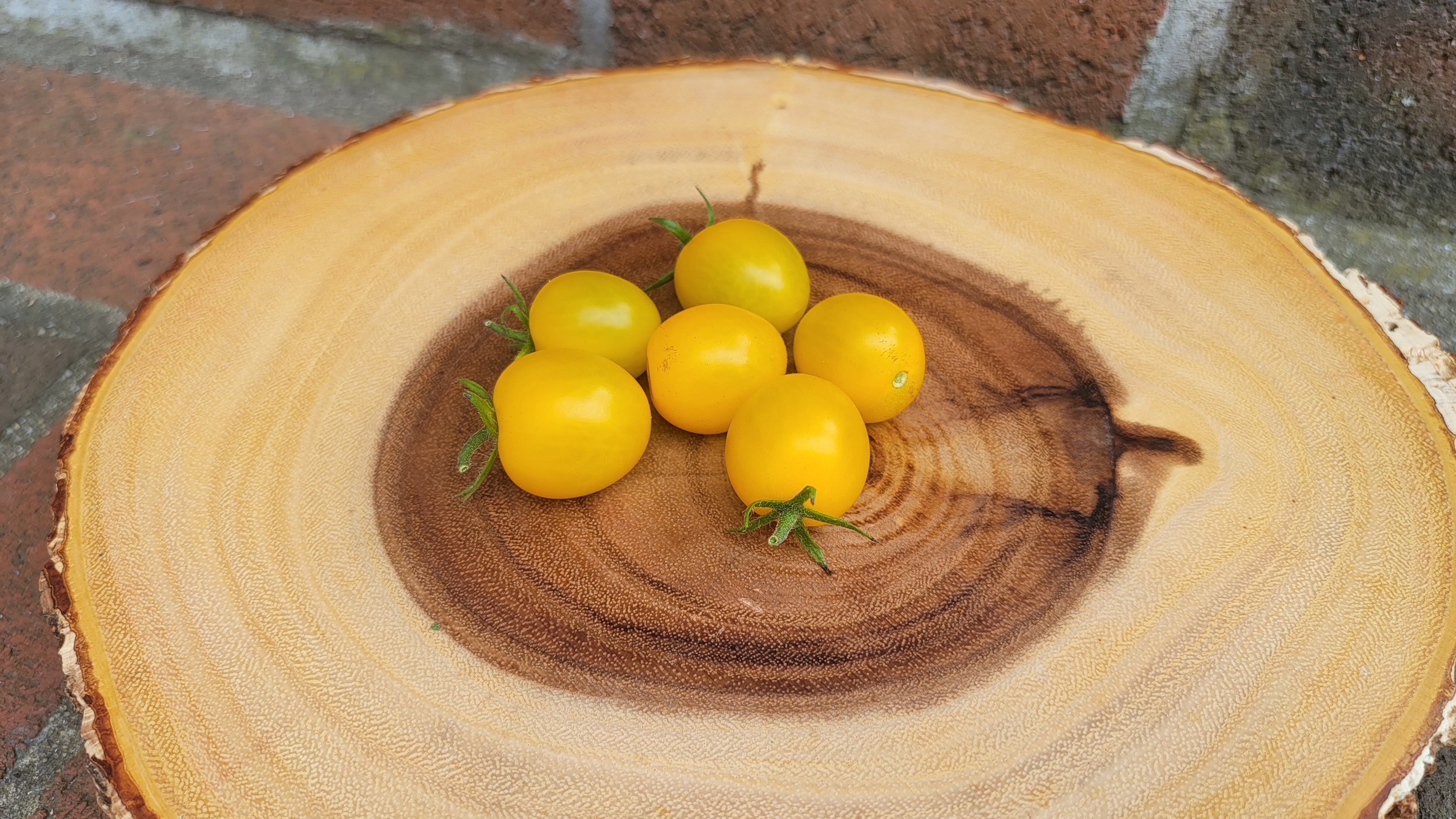 Lemonella Tomato